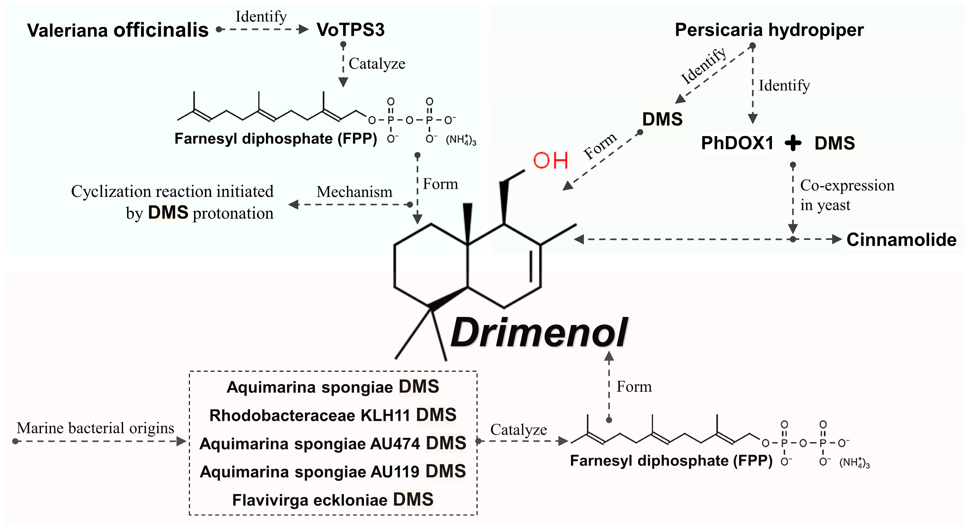 Plants 13 02492 g002