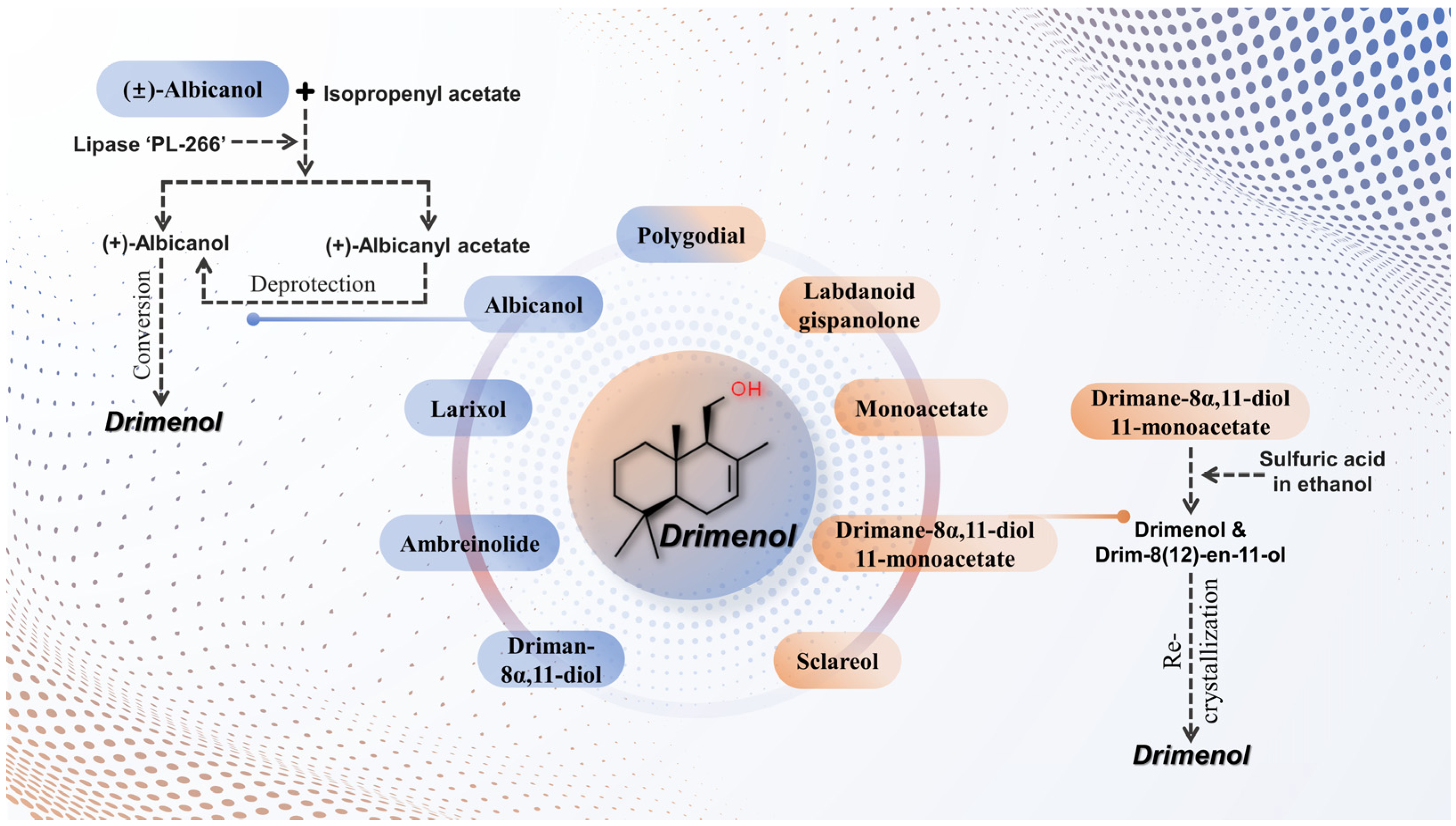 Plants 13 02492 g003