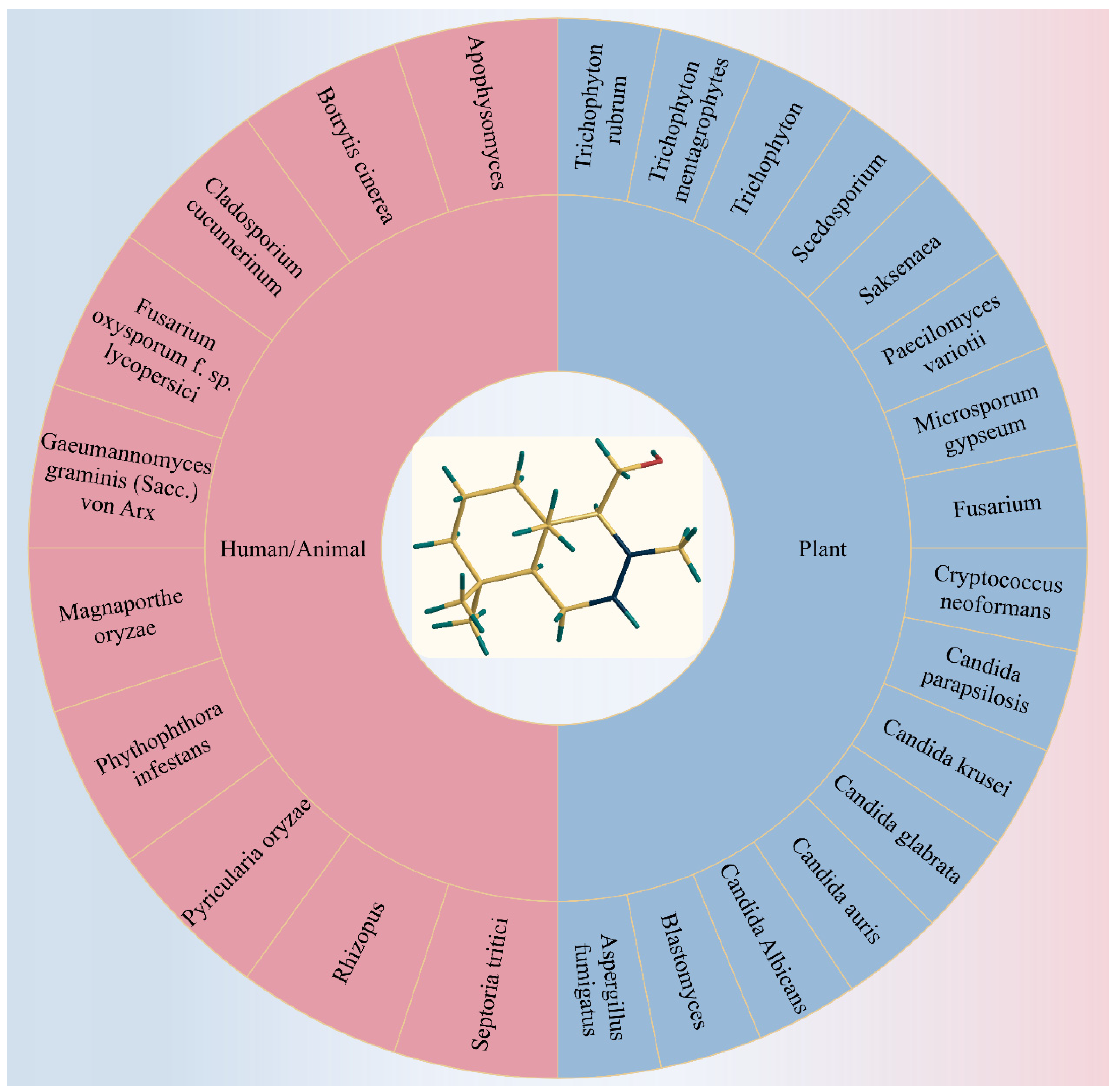 Plants 13 02492 g004