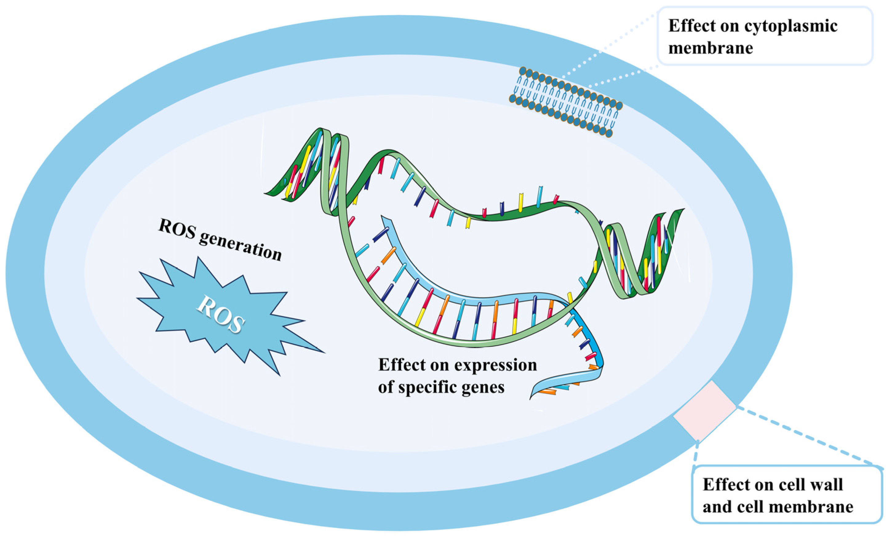 Plants 13 02492 g005