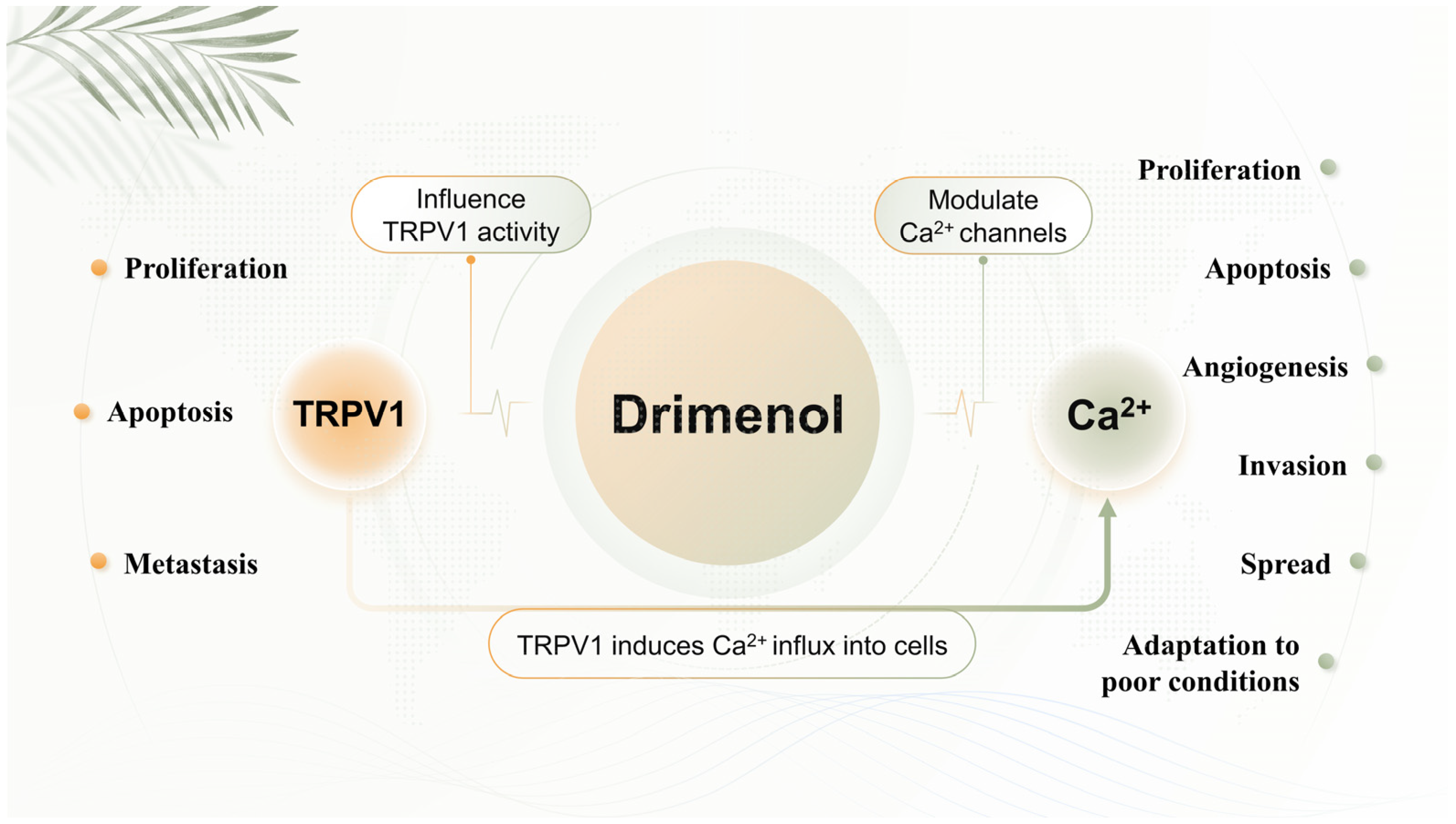 Plants 13 02492 g007