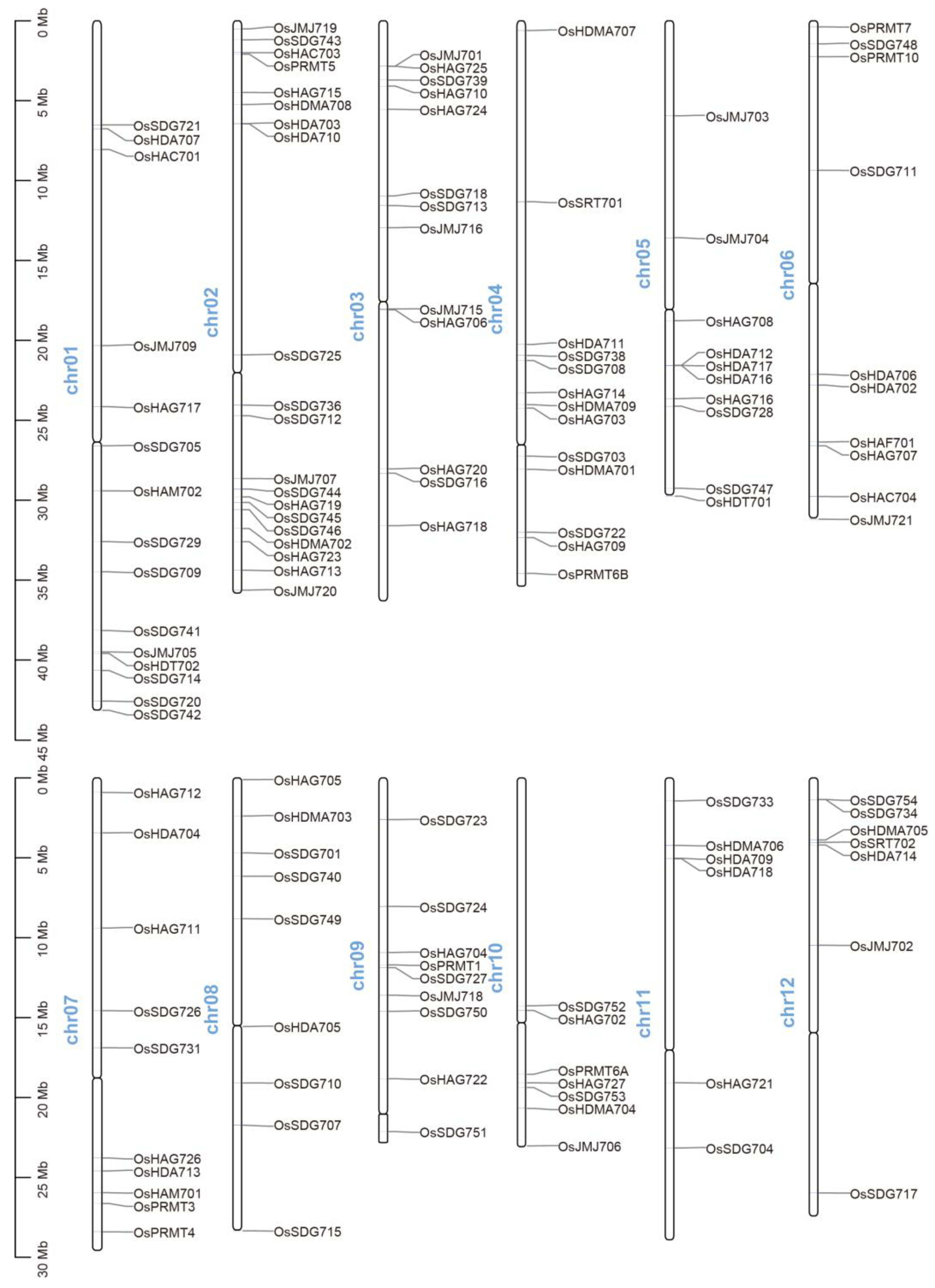 Plants 13 02496 g001