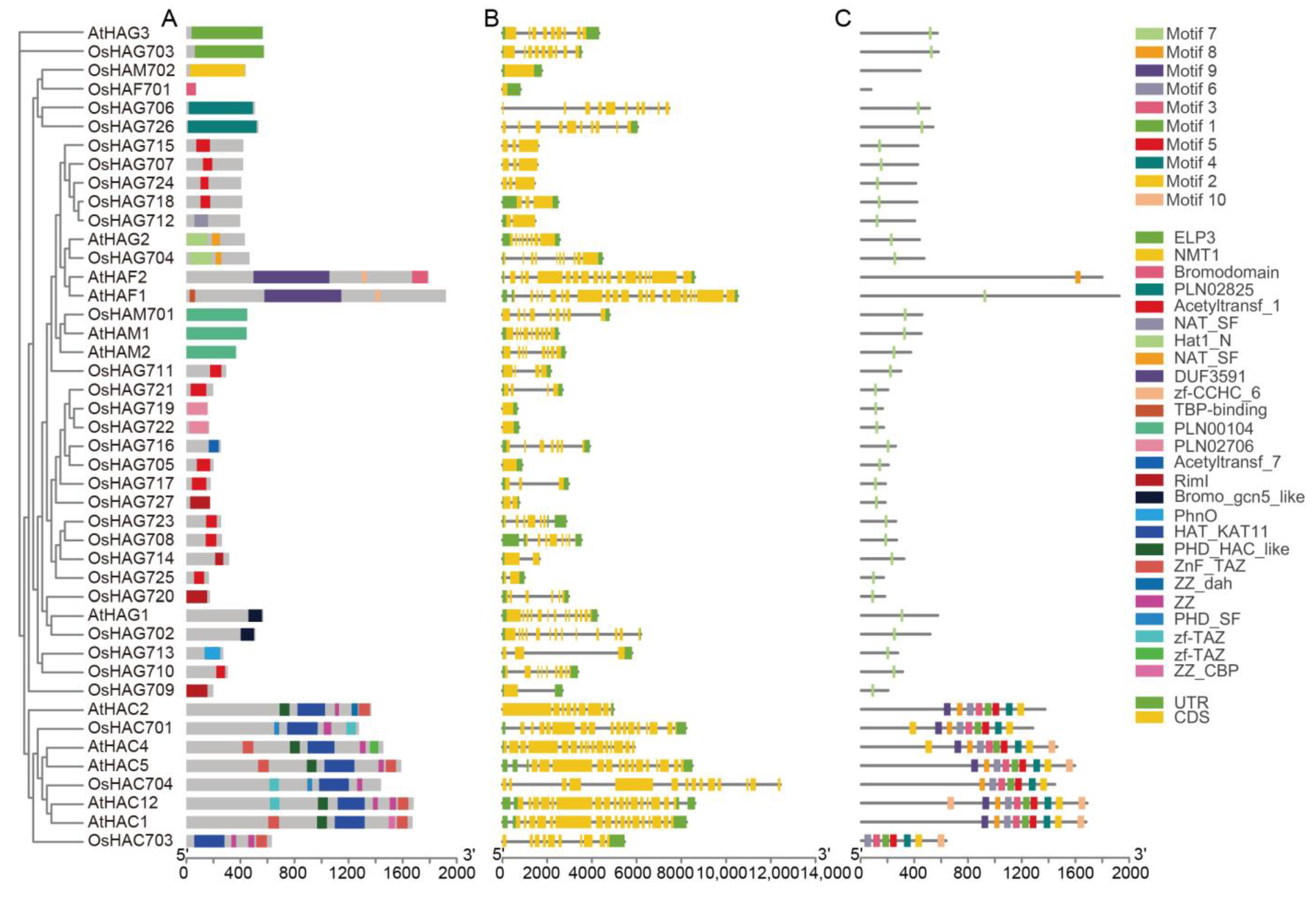 Plants 13 02496 g002