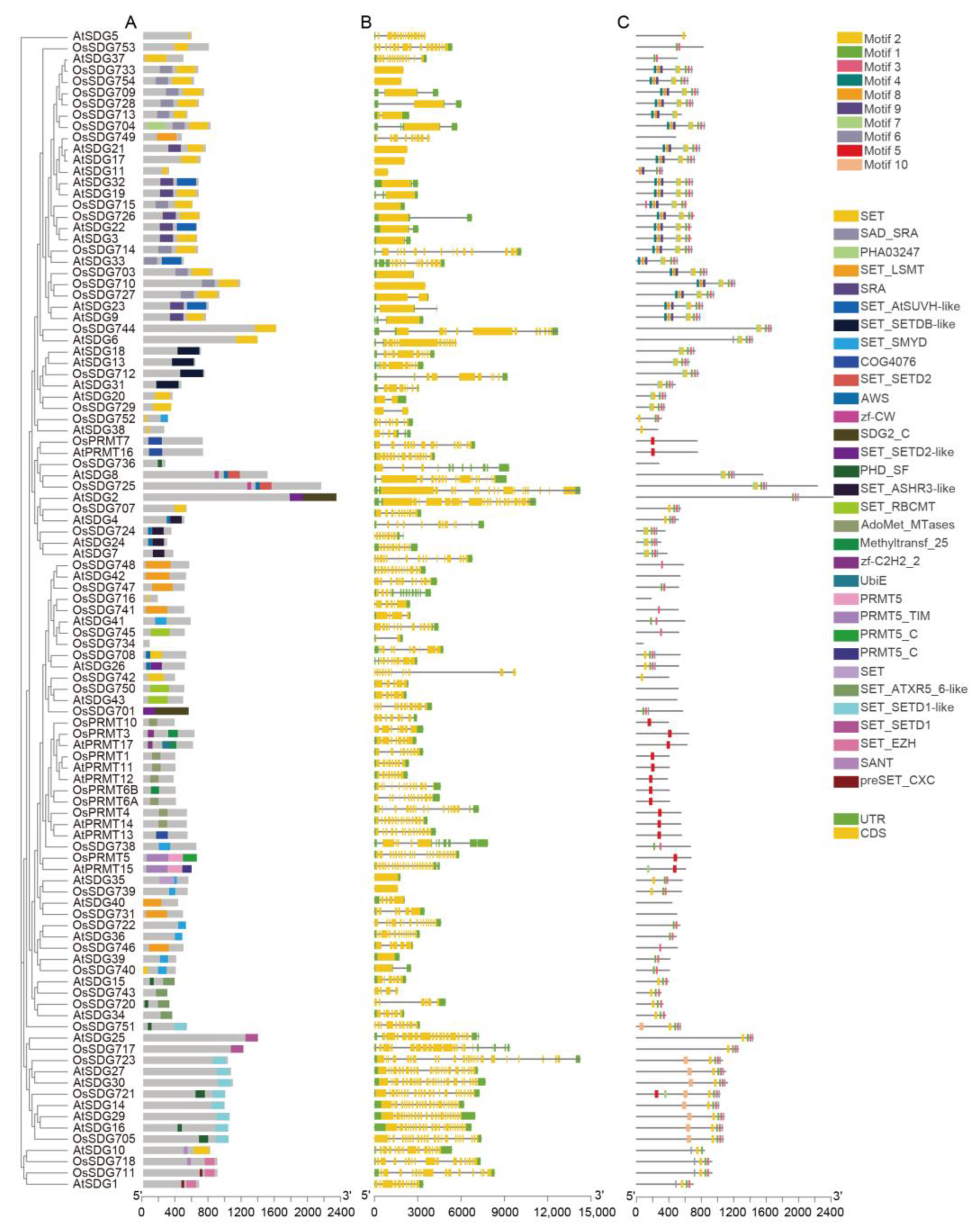 Plants 13 02496 g005