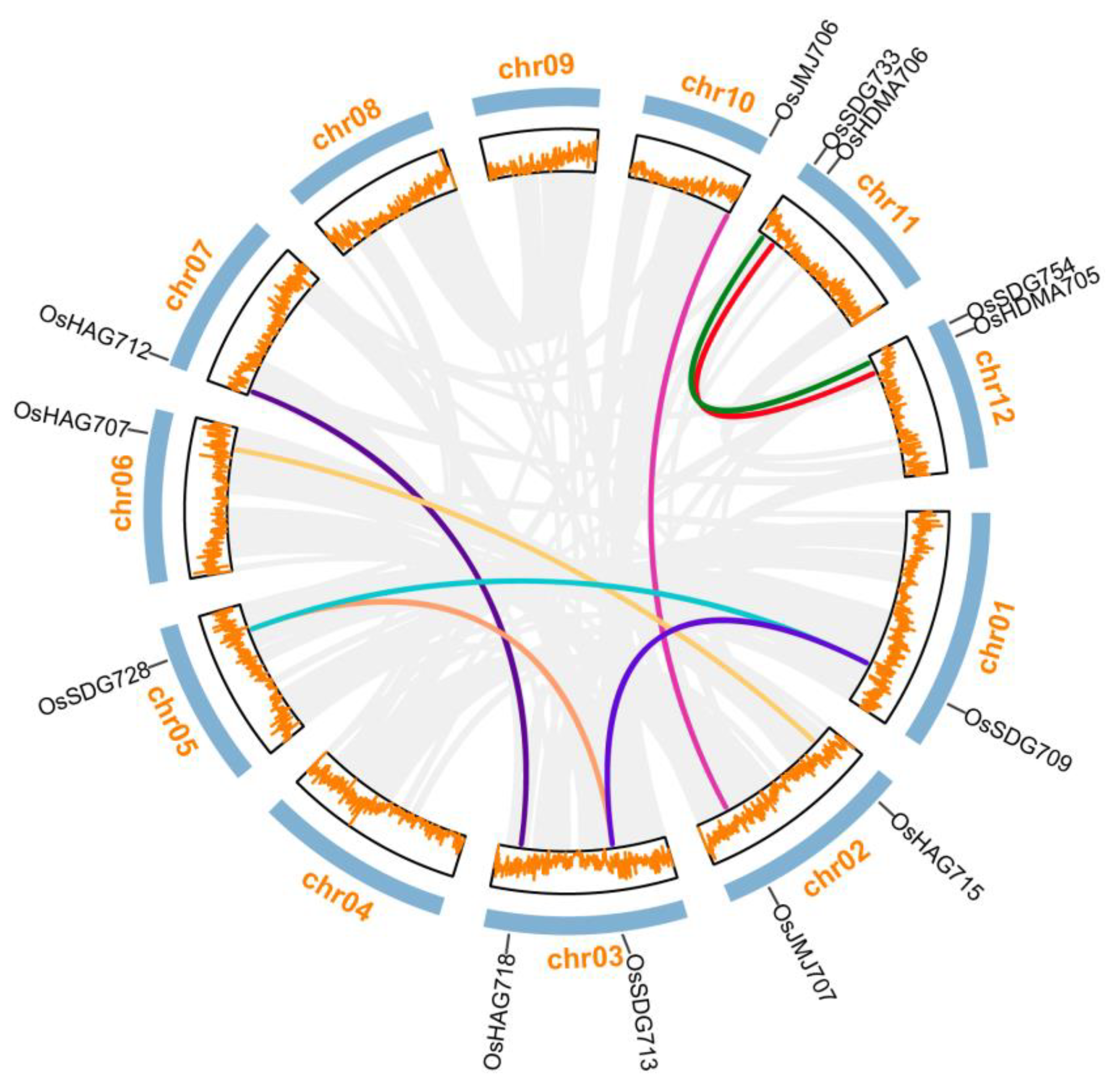 Plants 13 02496 g006