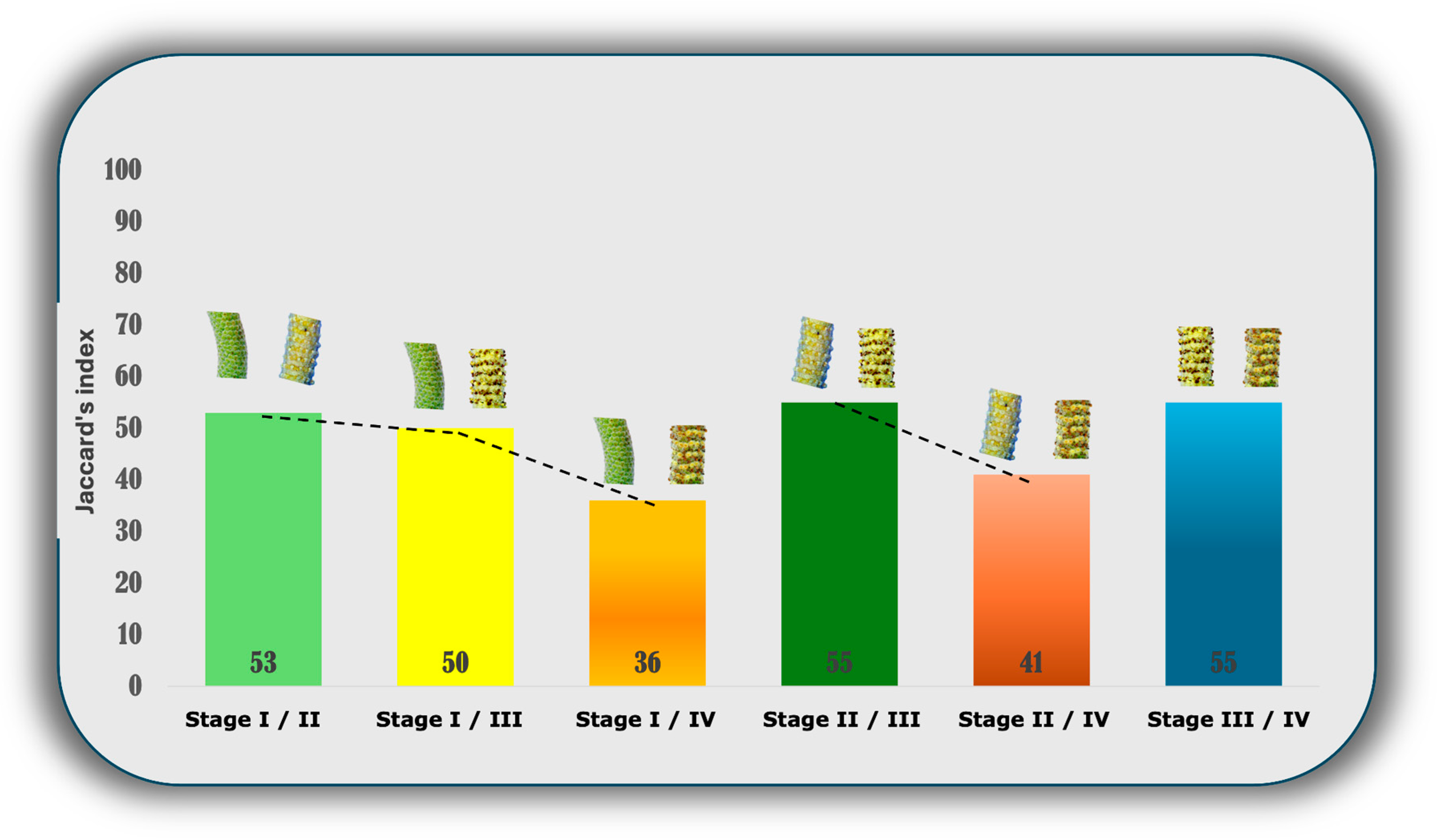 Plants 13 02497 g003