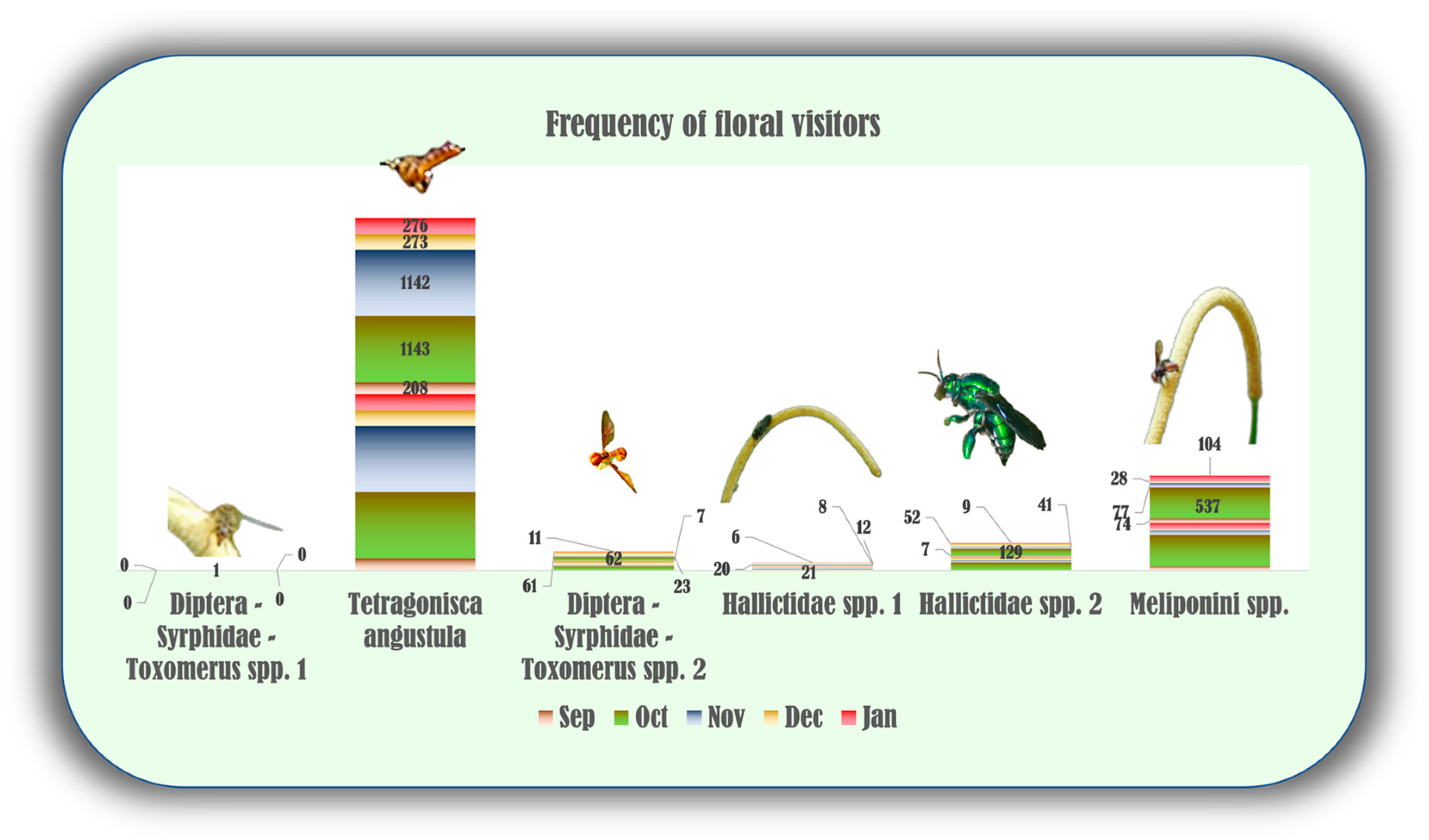 Plants 13 02497 g005