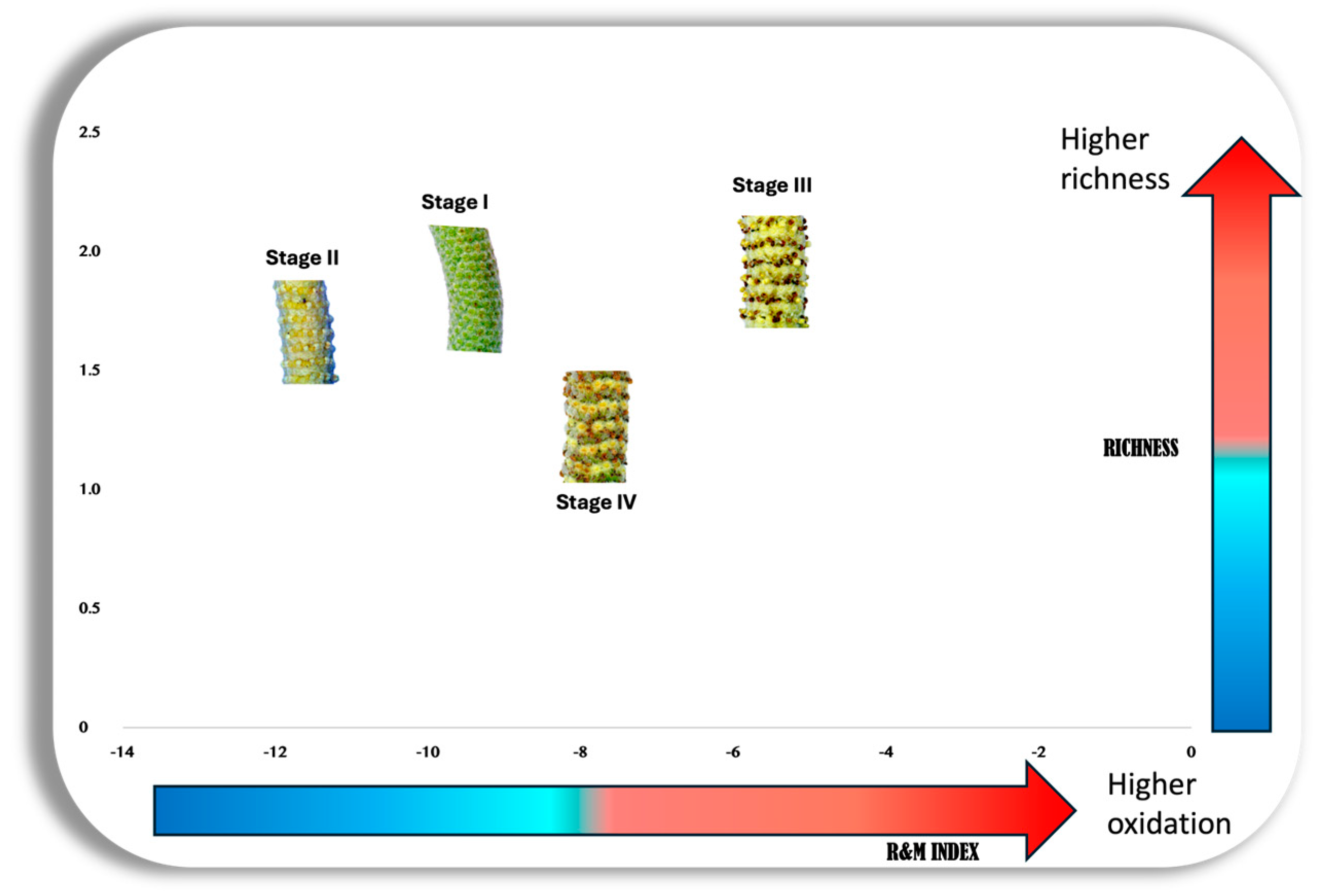 Plants 13 02497 g007