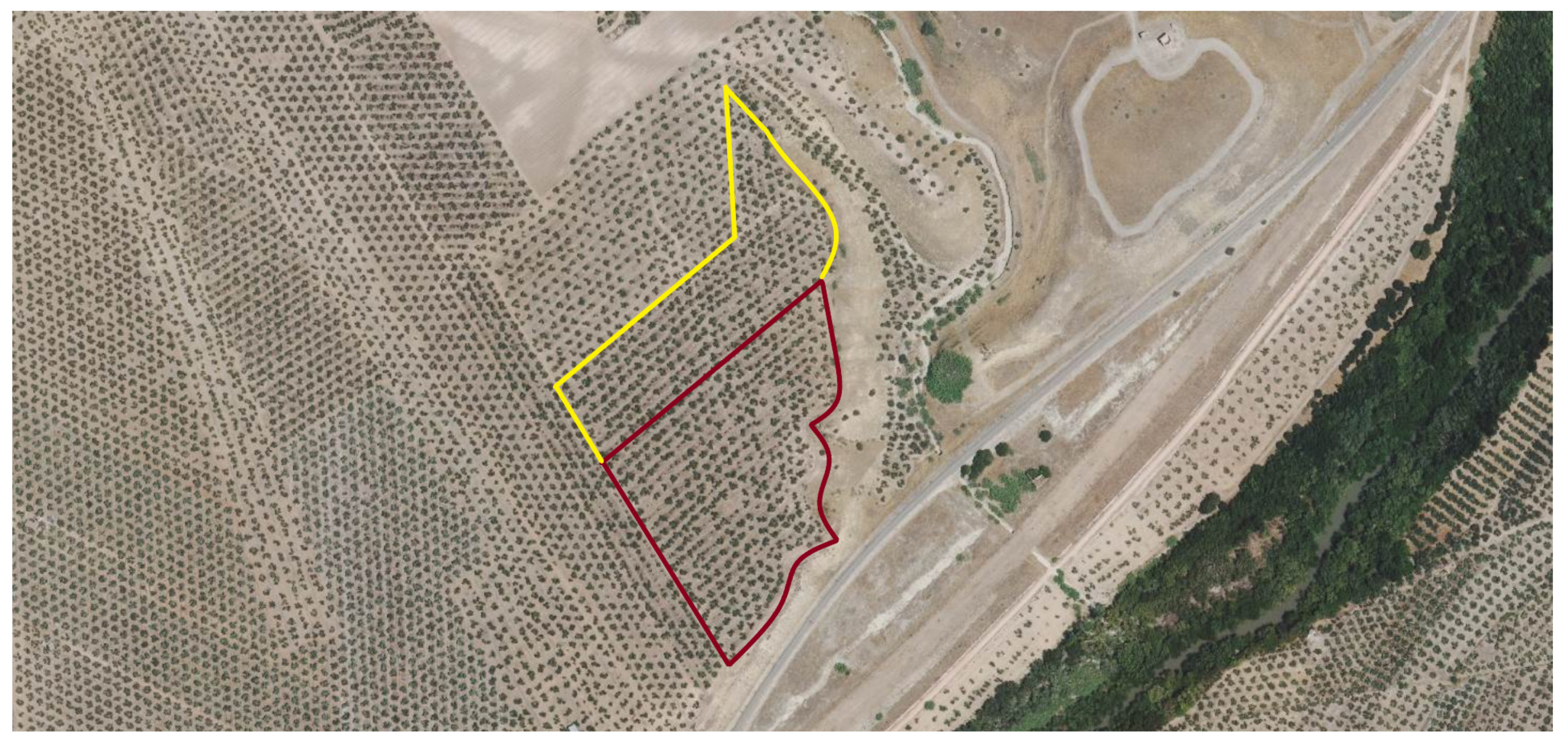 Plants 13 02499 g009