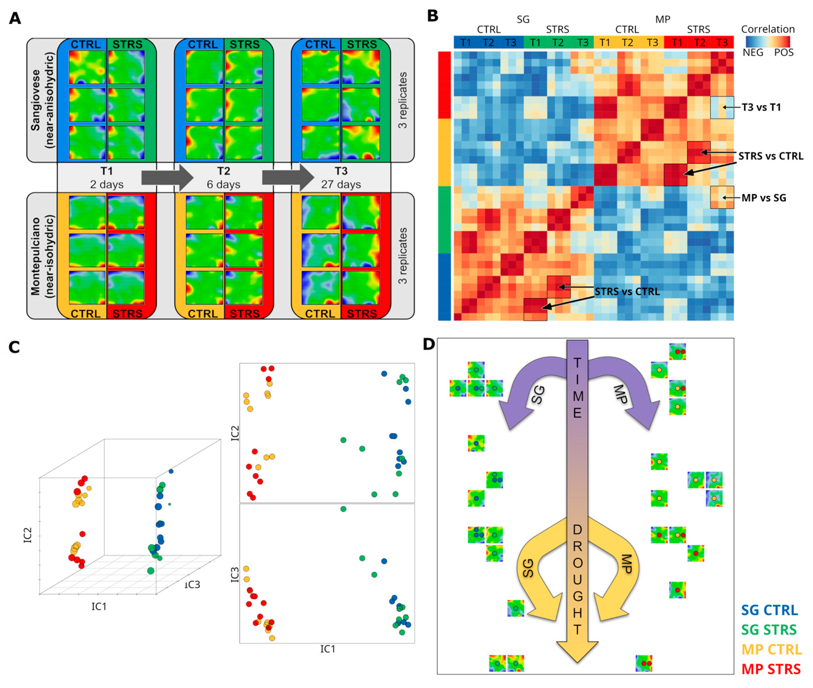 Plants 13 02501 g001