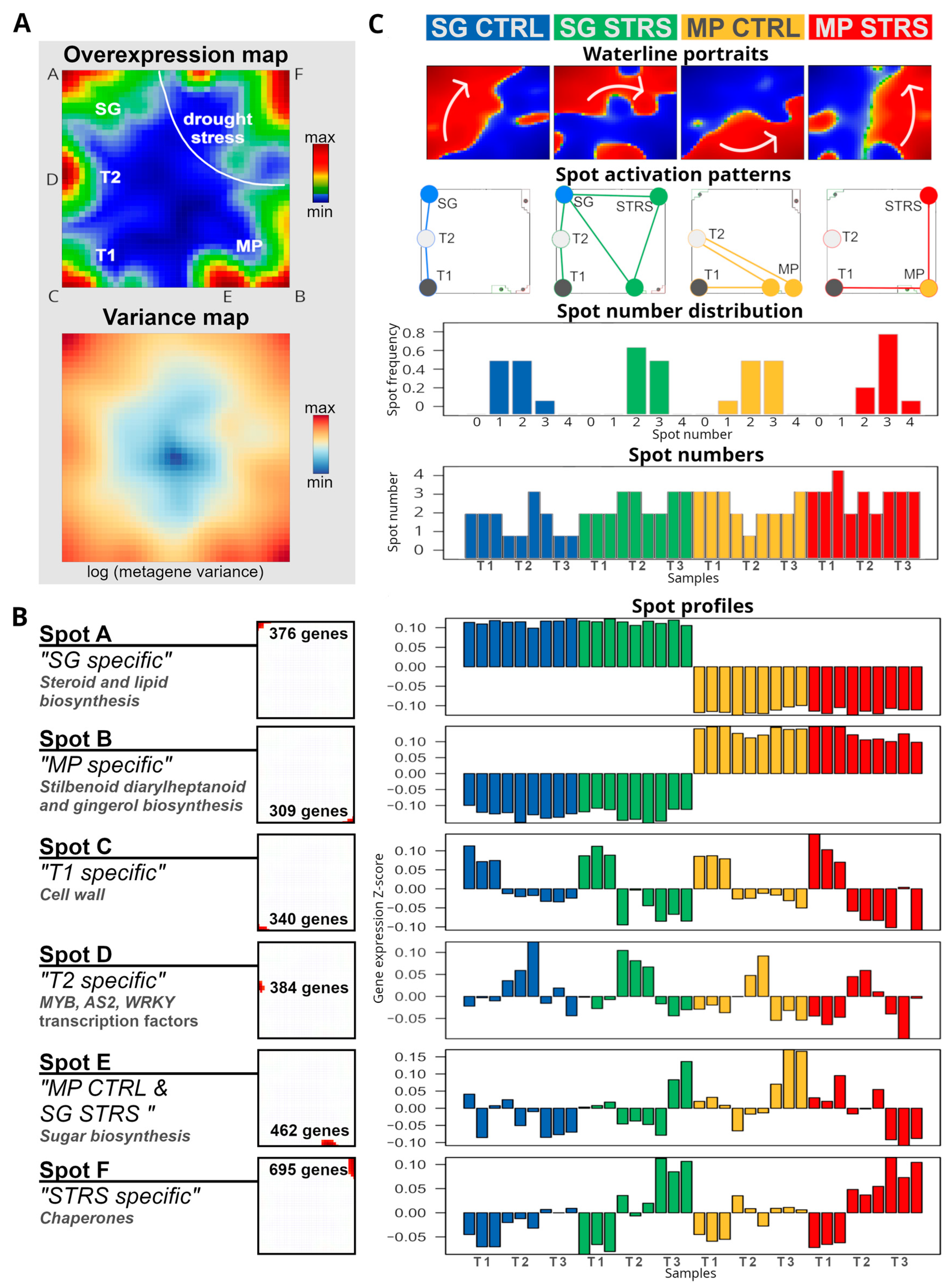 Plants 13 02501 g002
