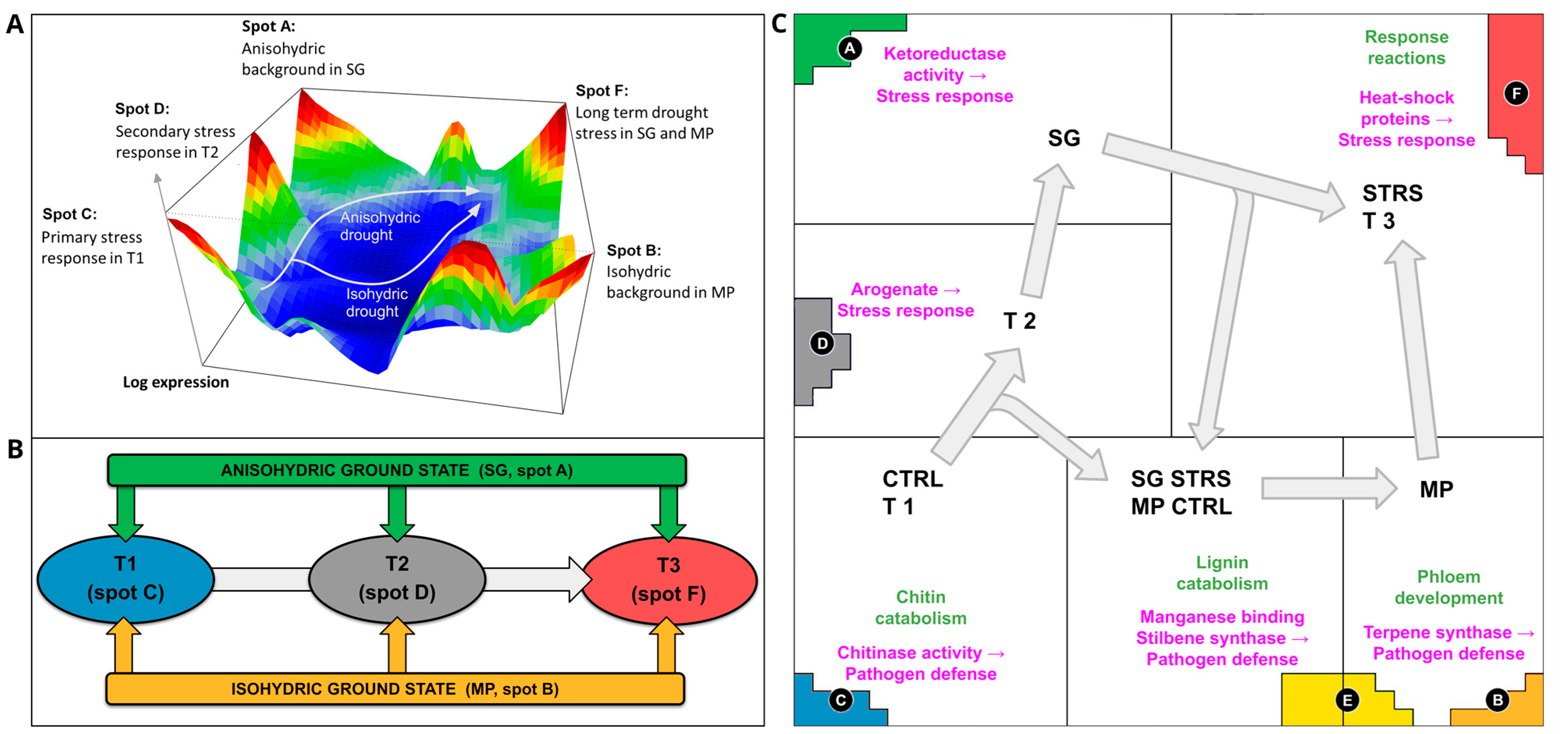 Plants 13 02501 g003