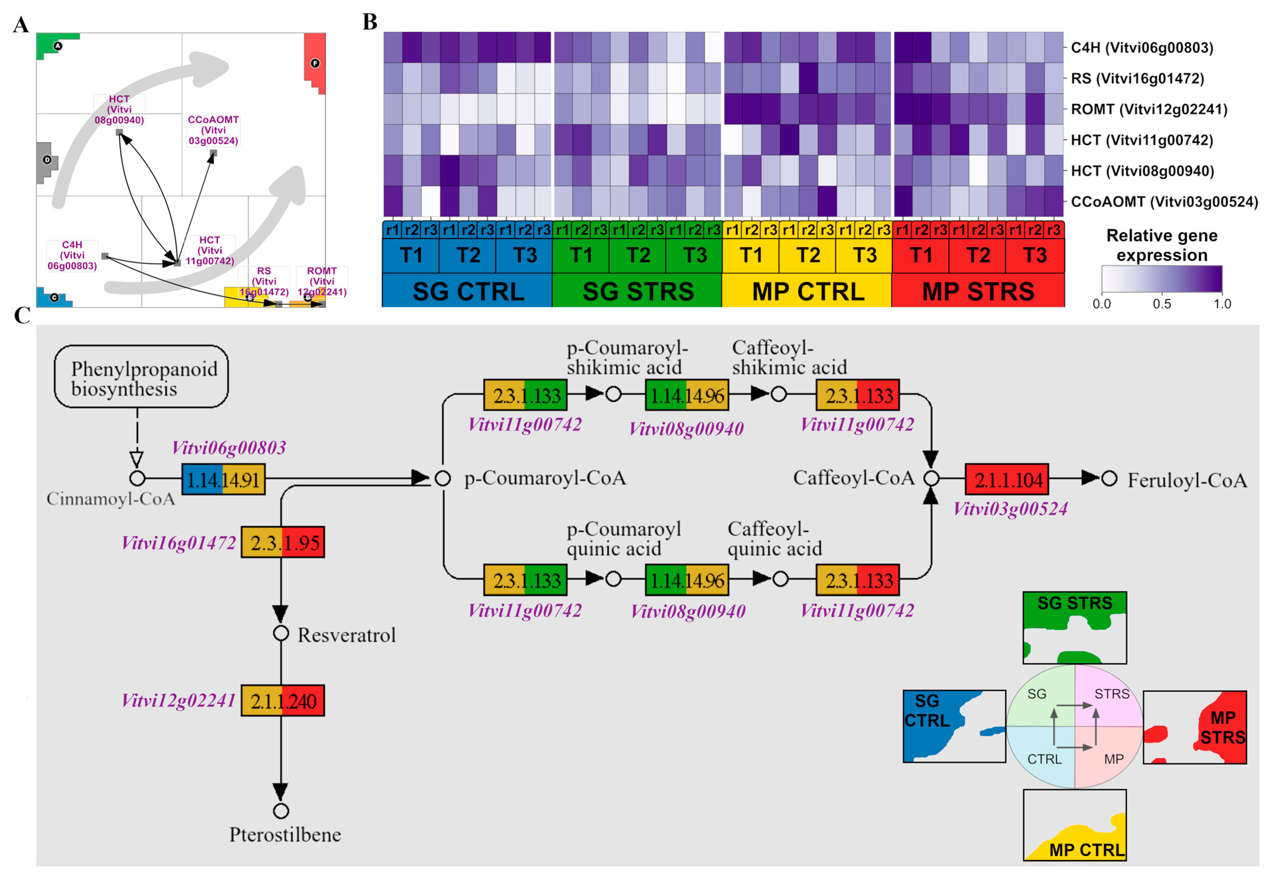 Plants 13 02501 g004