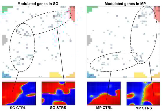 Plants 13 02501 g0a2