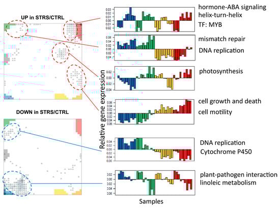 Plants 13 02501 g0a3