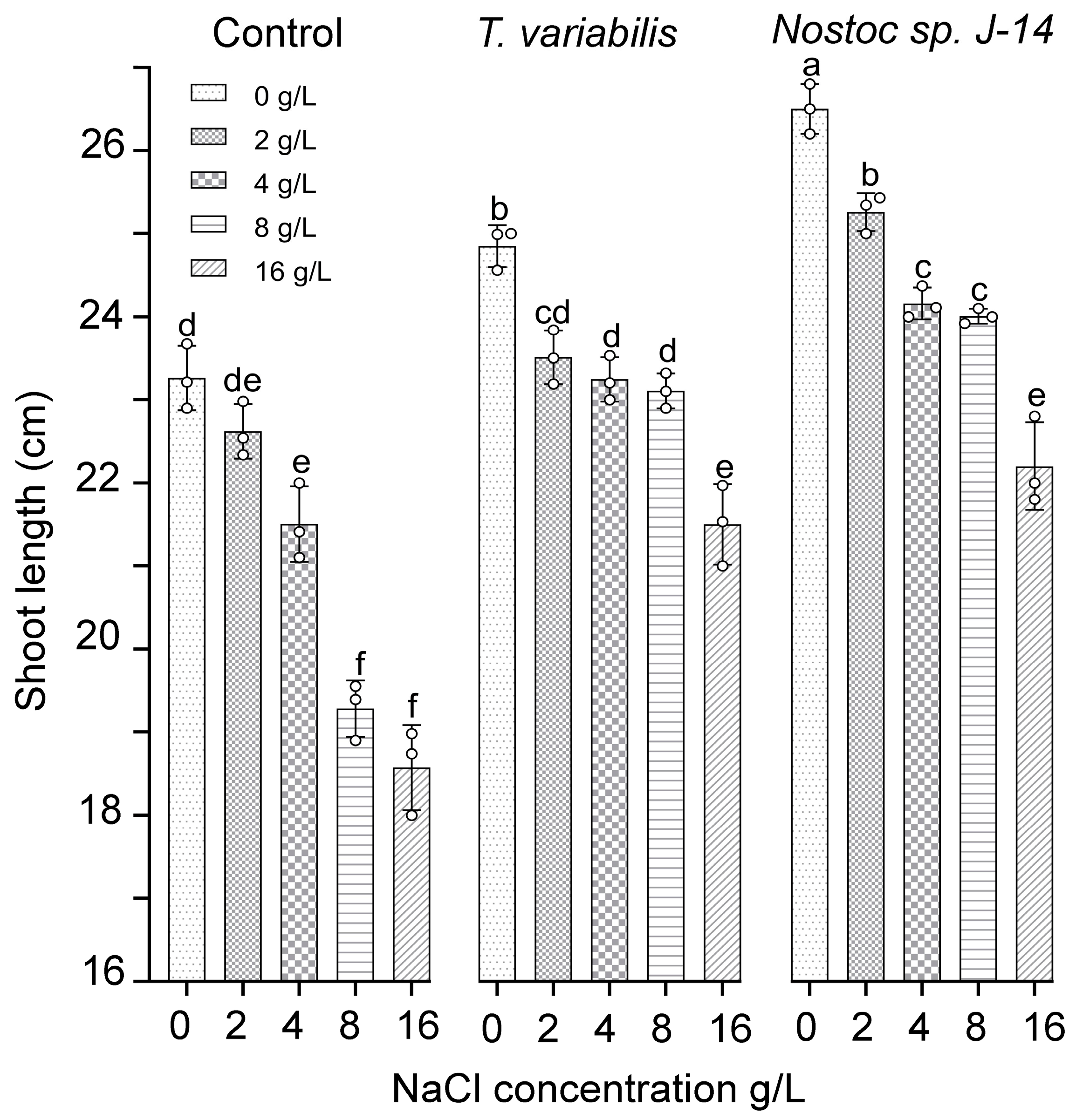 Plants 13 02504 g004