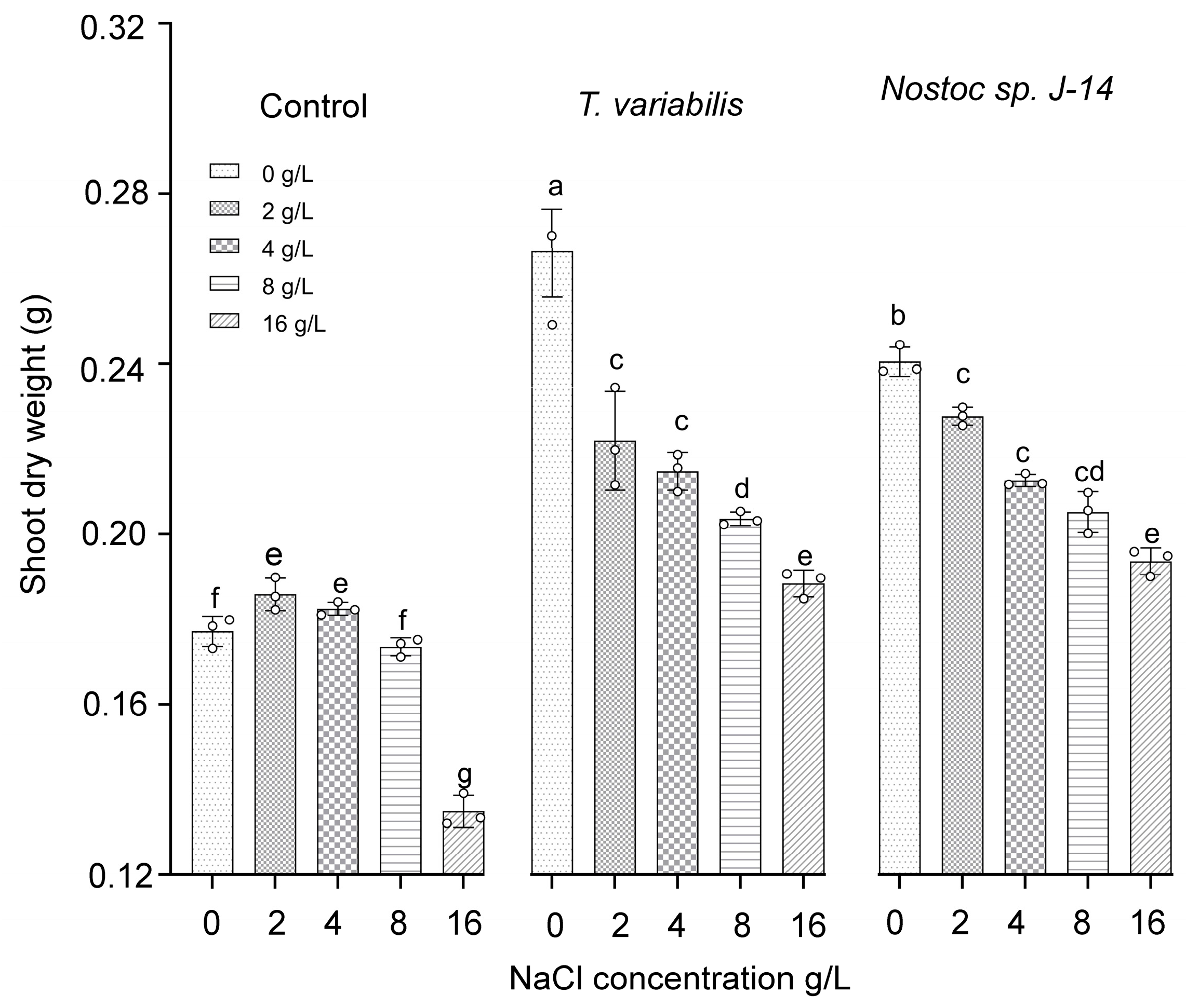 Plants 13 02504 g005