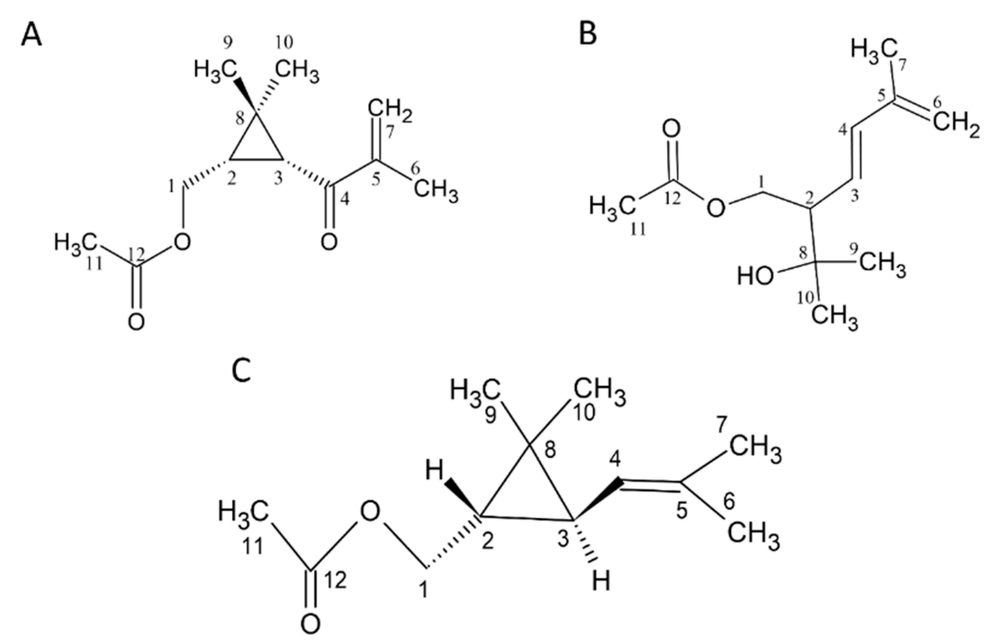 Plants 13 02506 g001