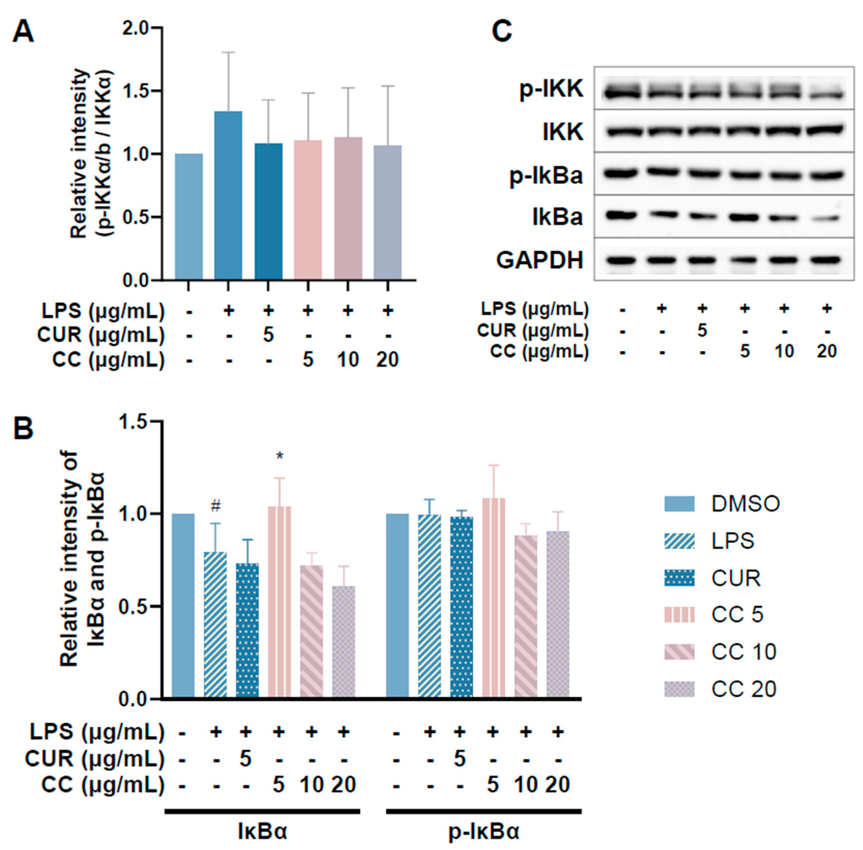 Plants 13 02506 g008
