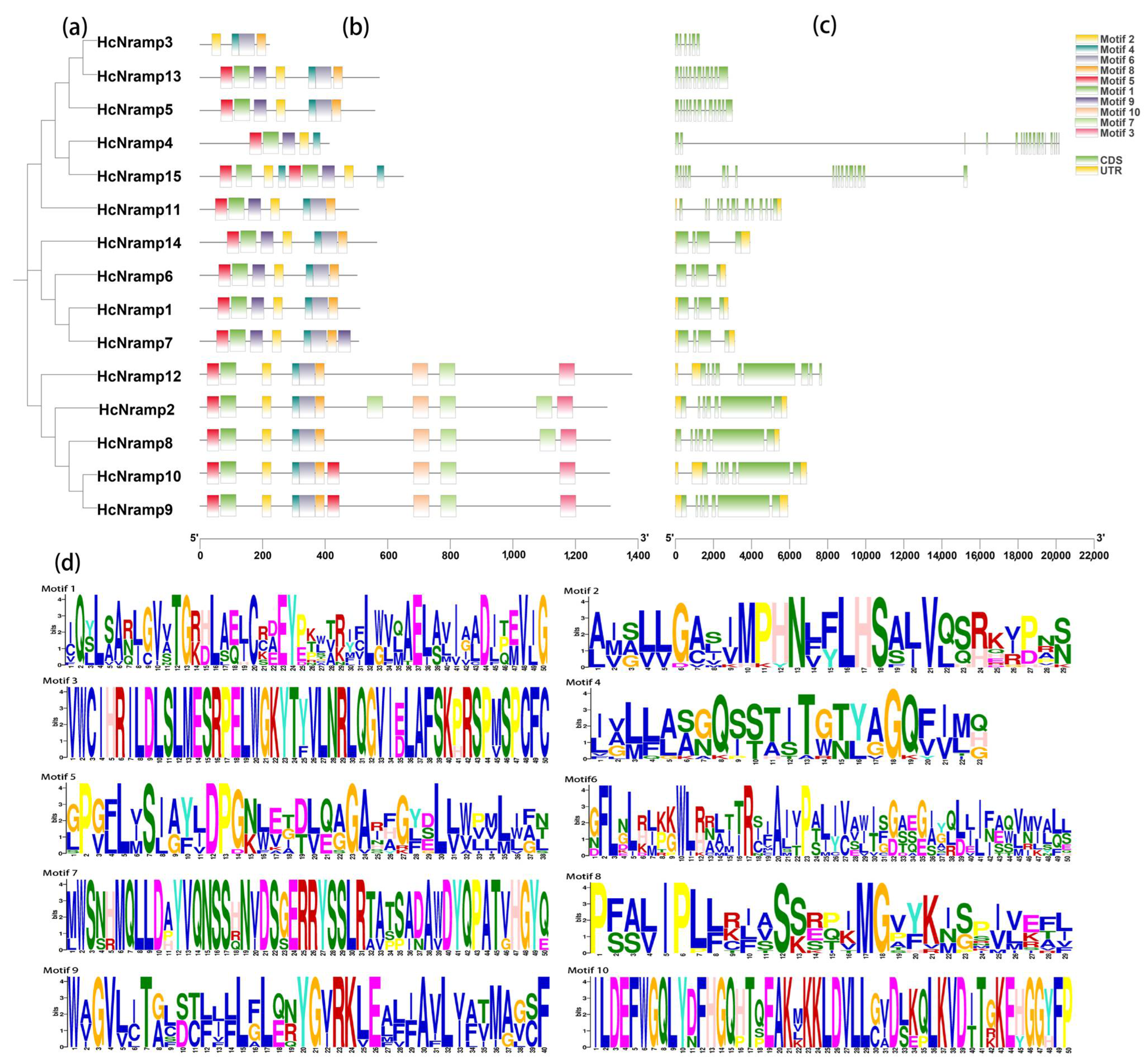 Plants 13 02514 g002