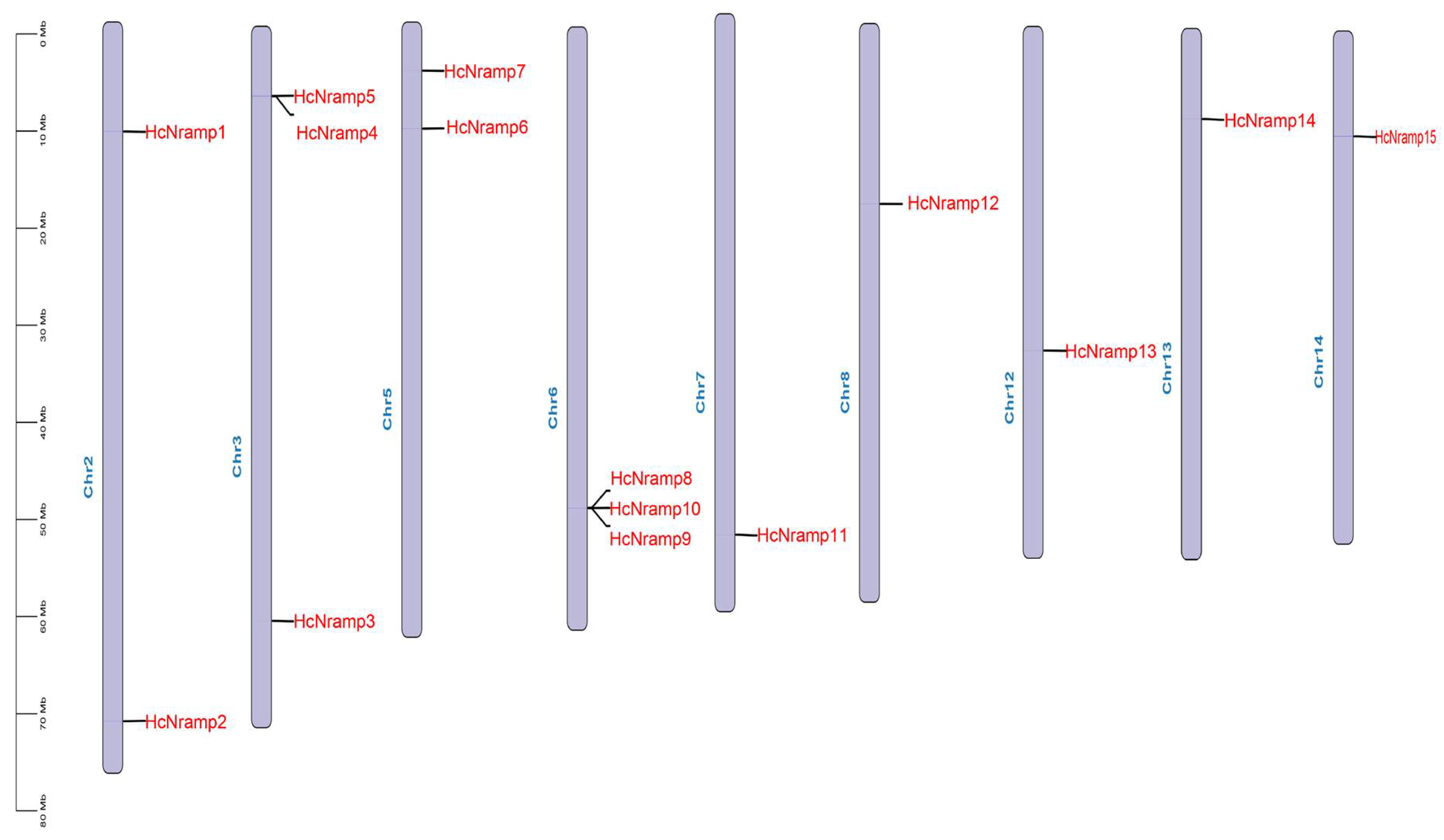 Plants 13 02514 g004