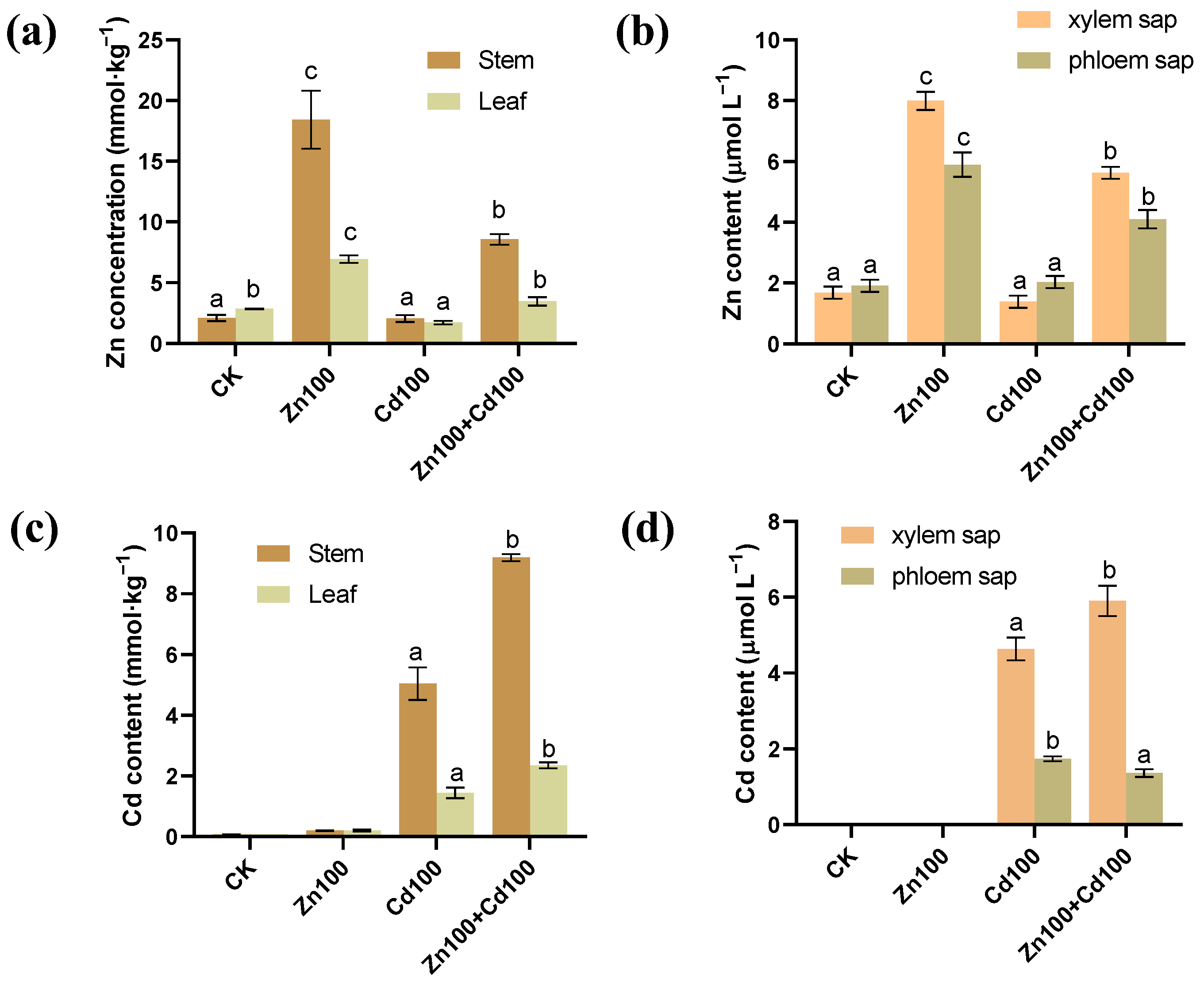 Plants 13 02528 g001