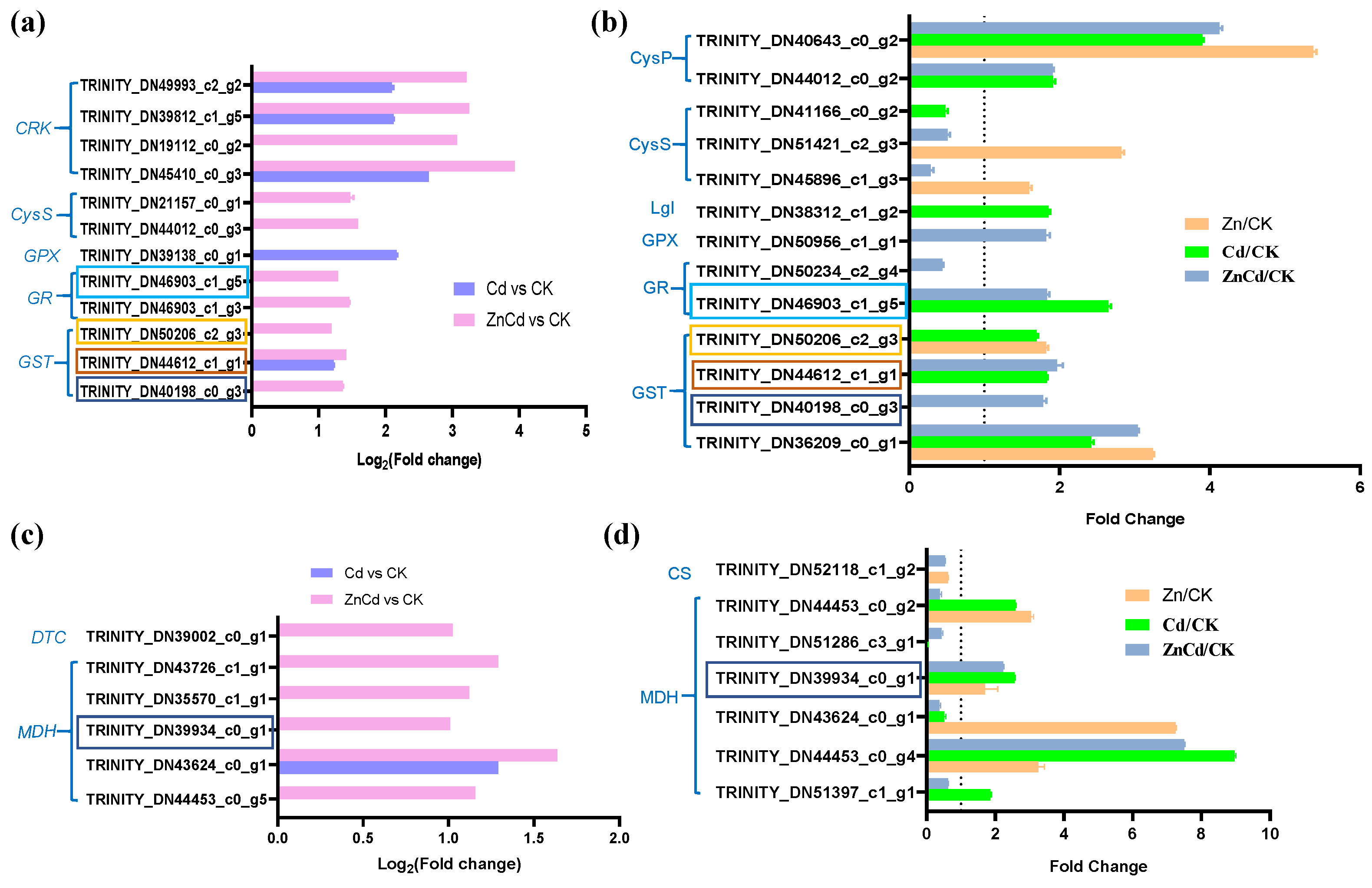 Plants 13 02528 g006