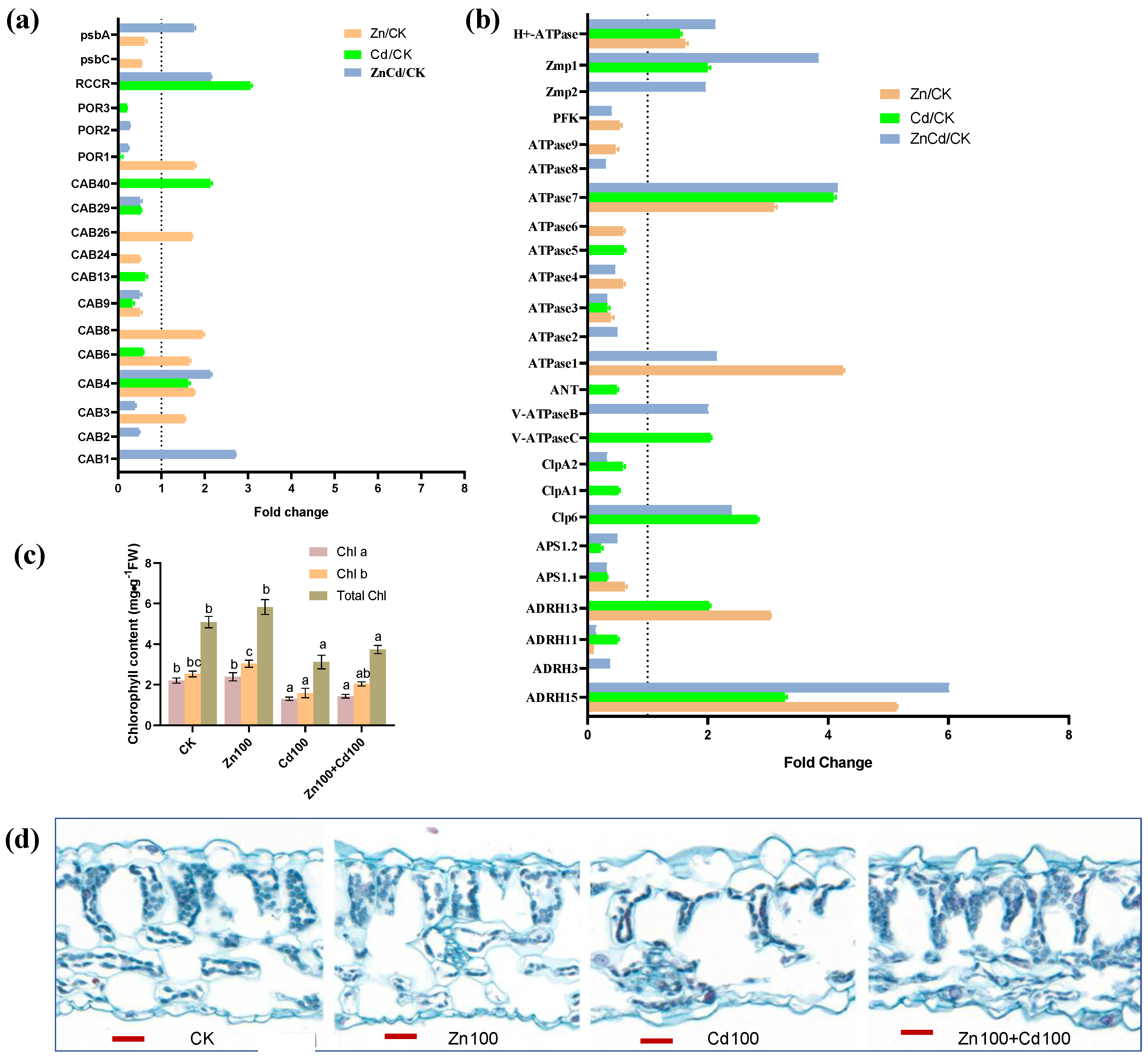 Plants 13 02528 g007