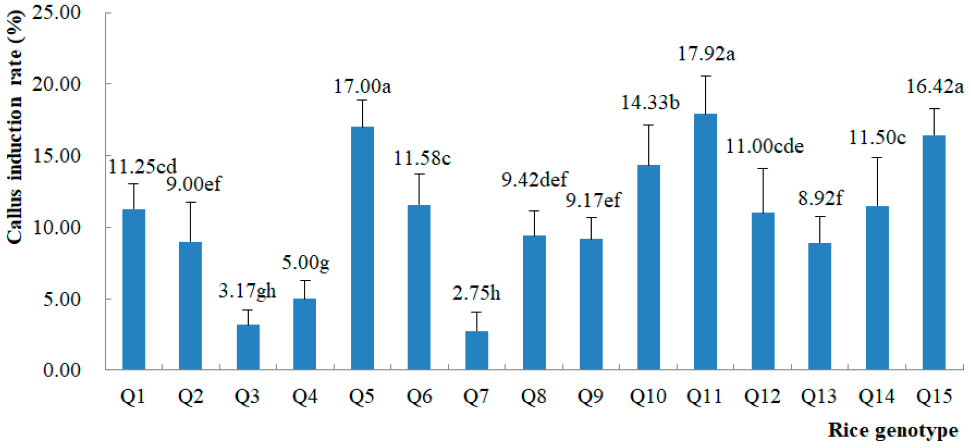 Plants 13 02531 g001