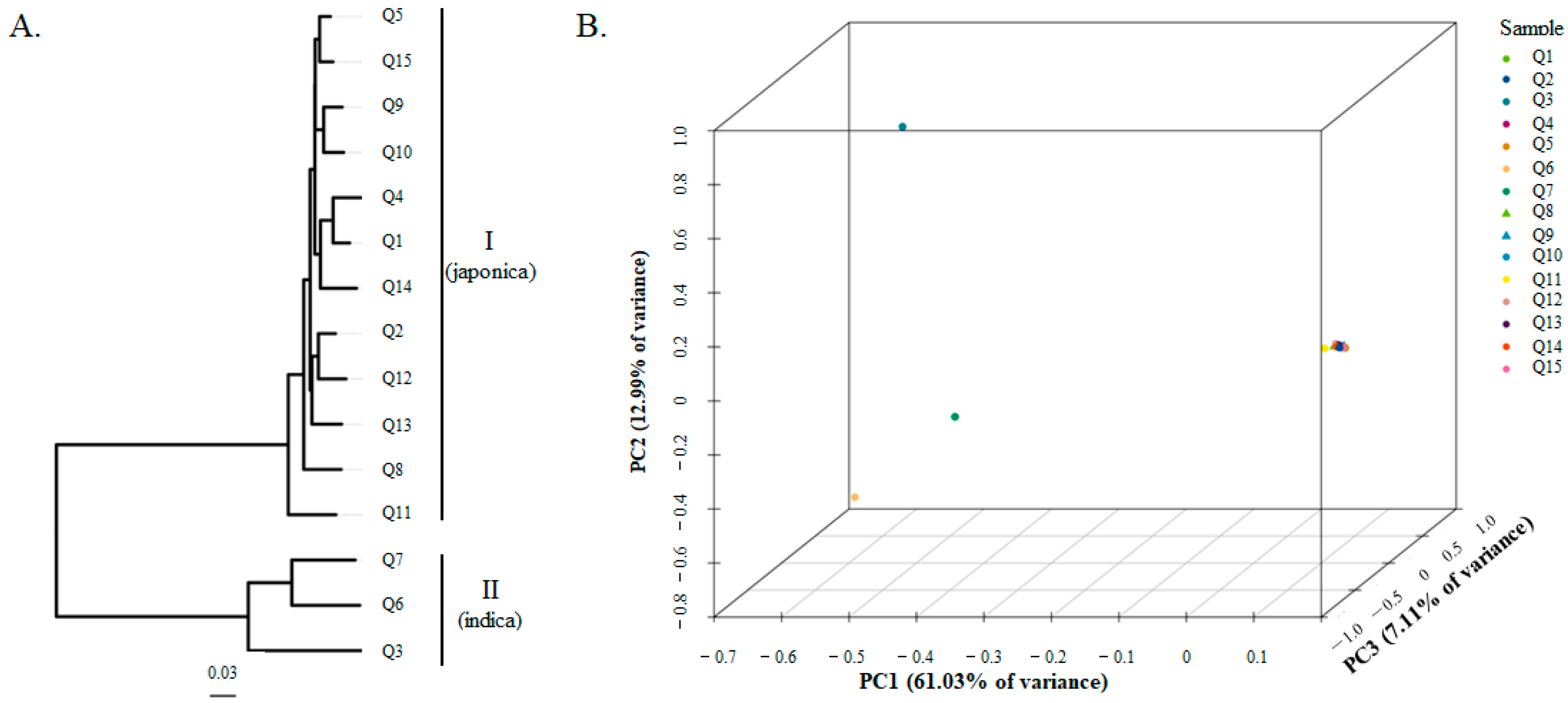 Plants 13 02531 g003
