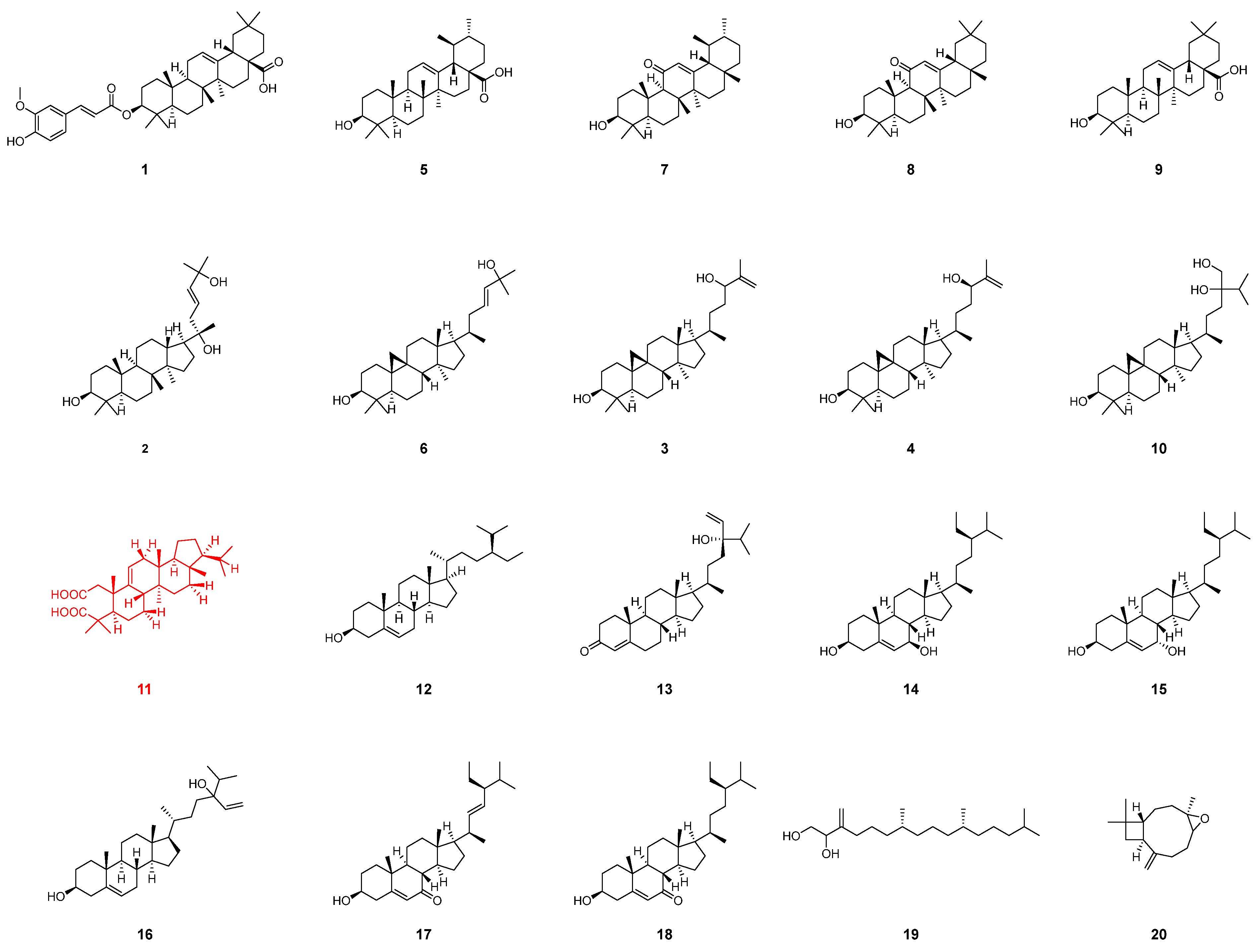 Plants 13 02533 g002 Plants 13 02533 g002