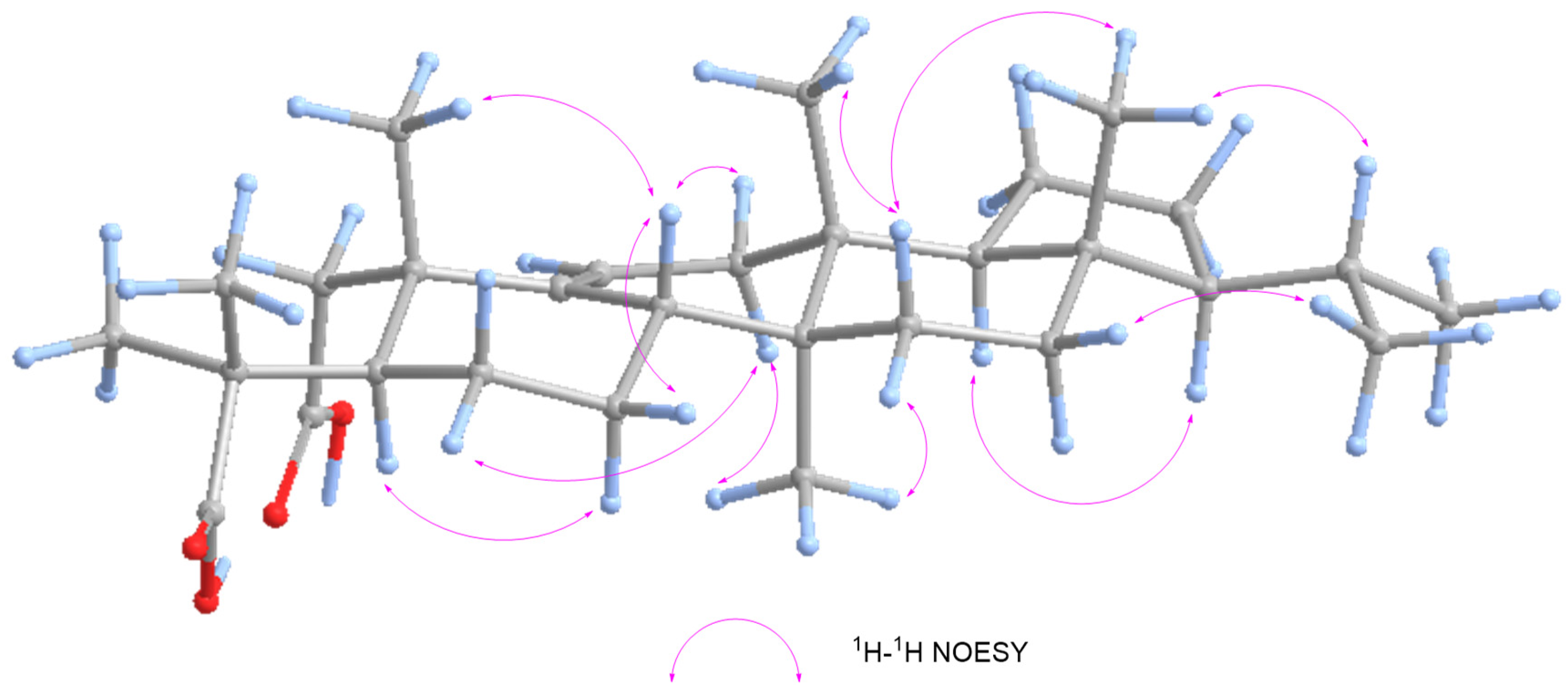 Plants 13 02533 g004 Plants 13 02533 g004