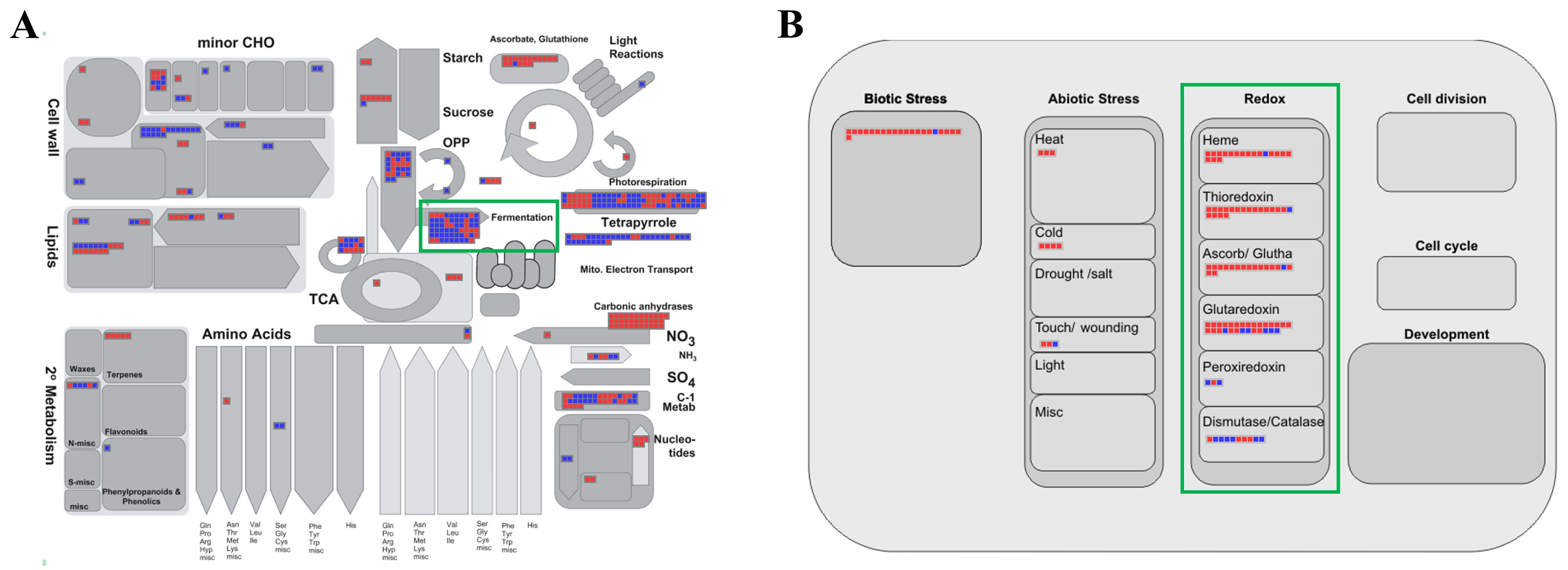 Plants 13 02538 g003 Plants 13 02538 g003