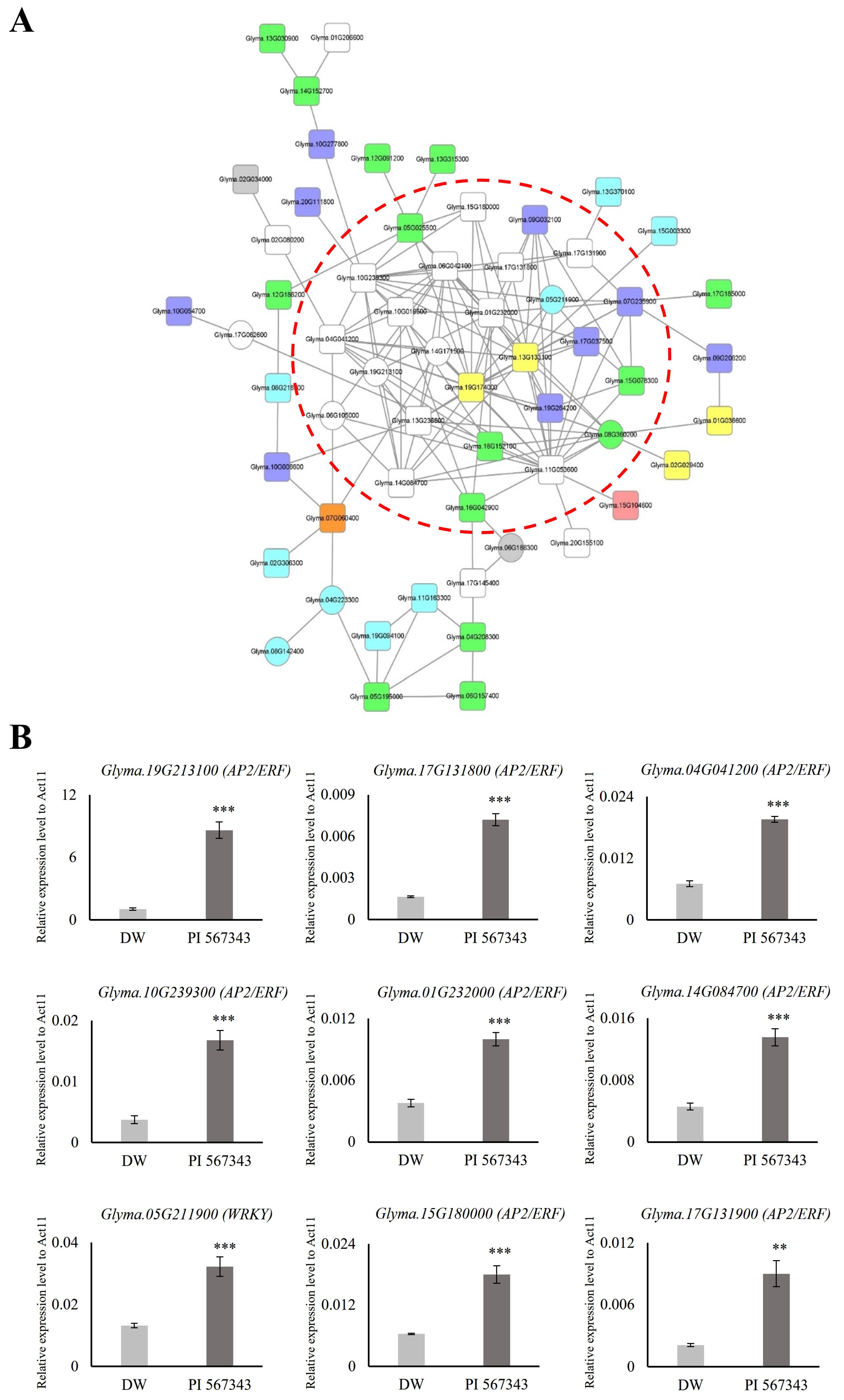 Plants 13 02538 g005 Plants 13 02538 g005