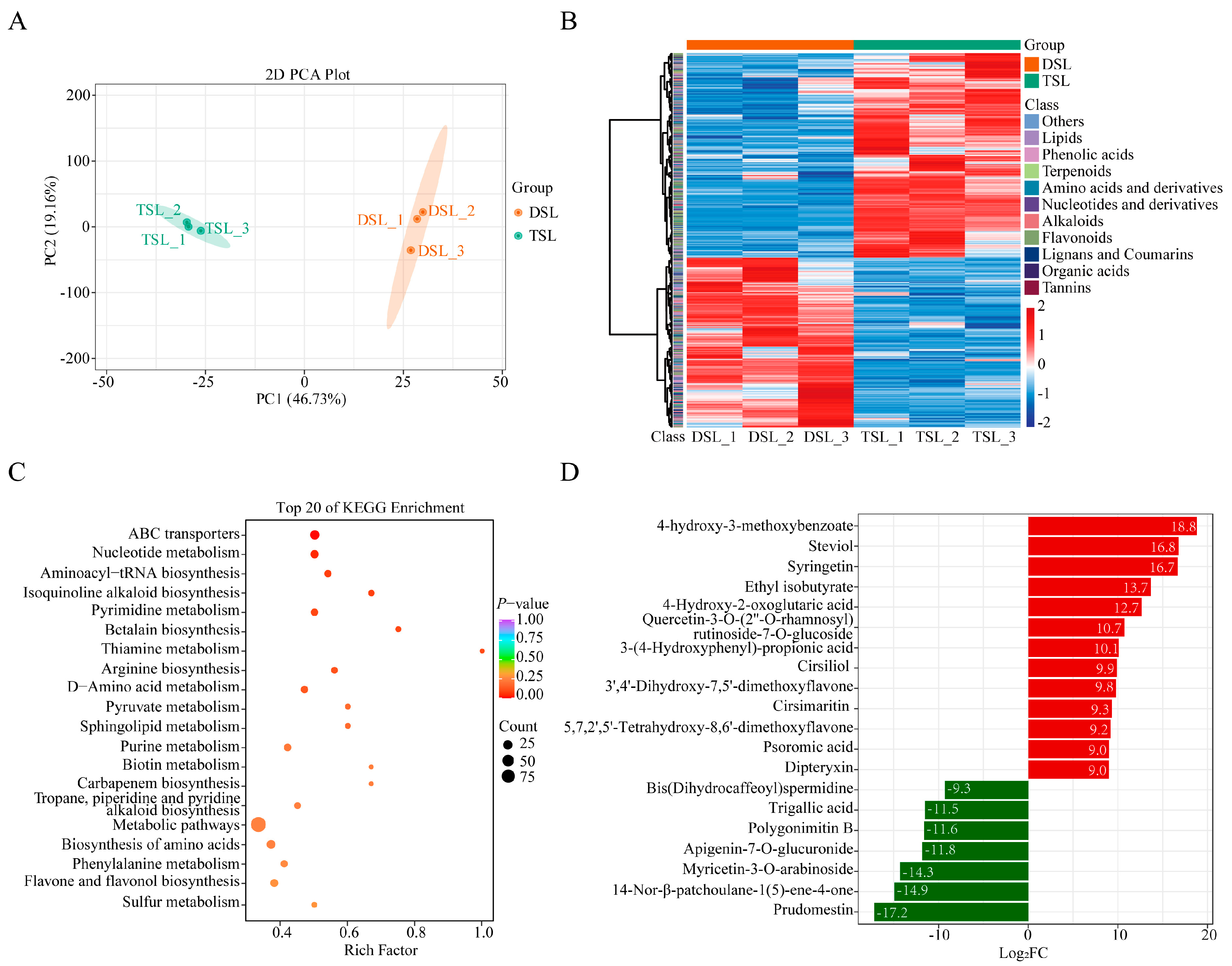 Plants 13 02542 g001