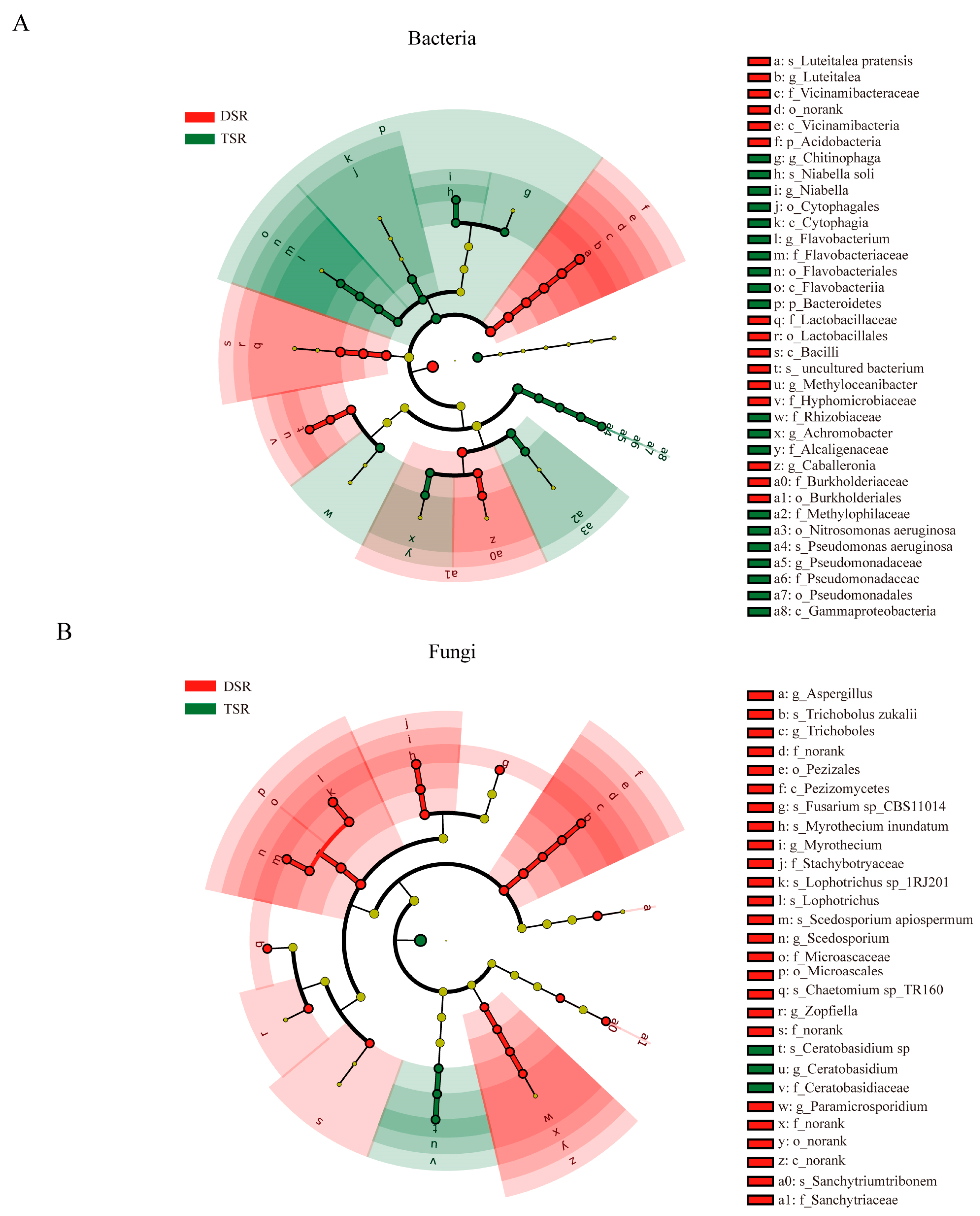 Plants 13 02542 g004