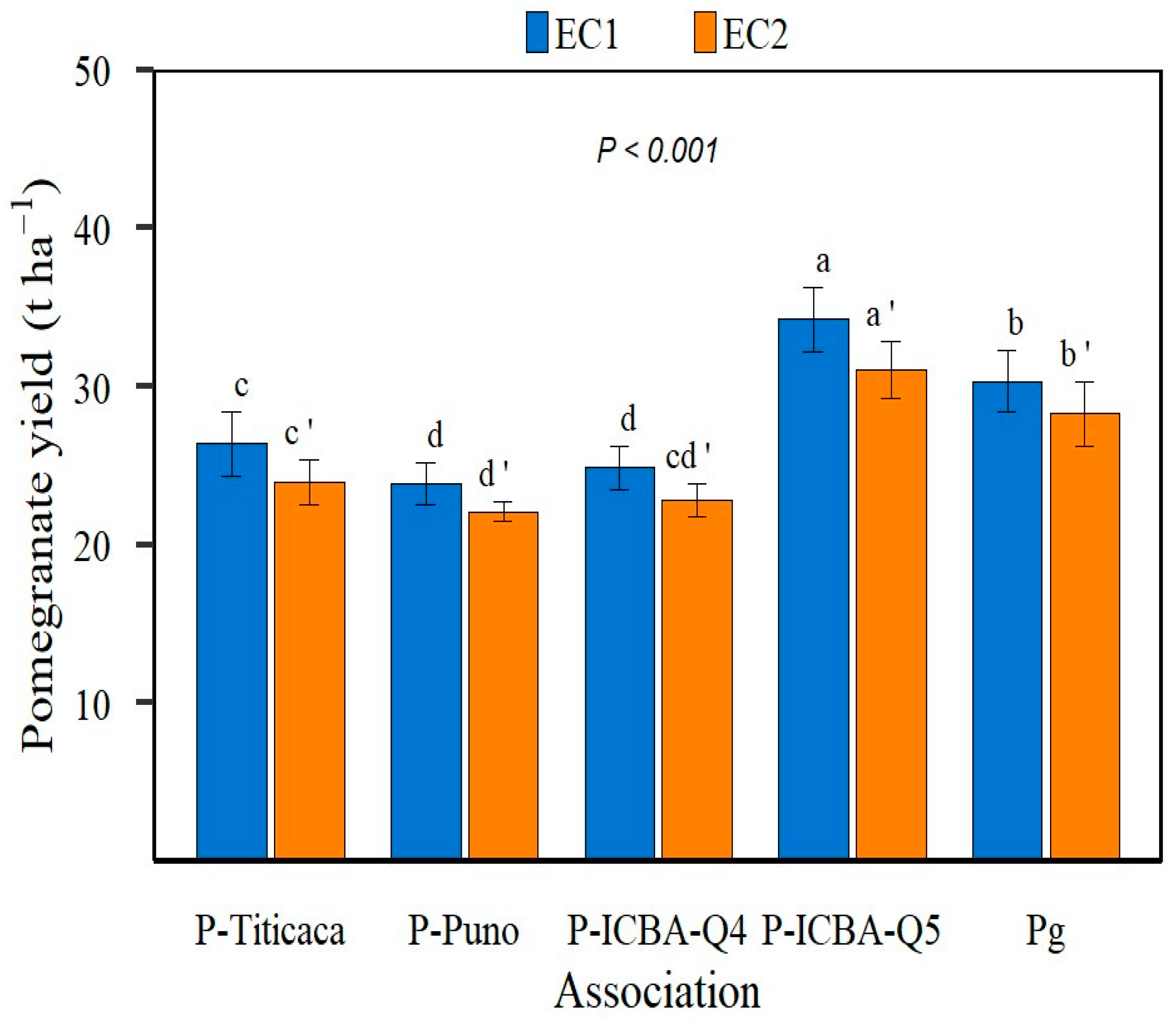 Plants 13 02543 g001
