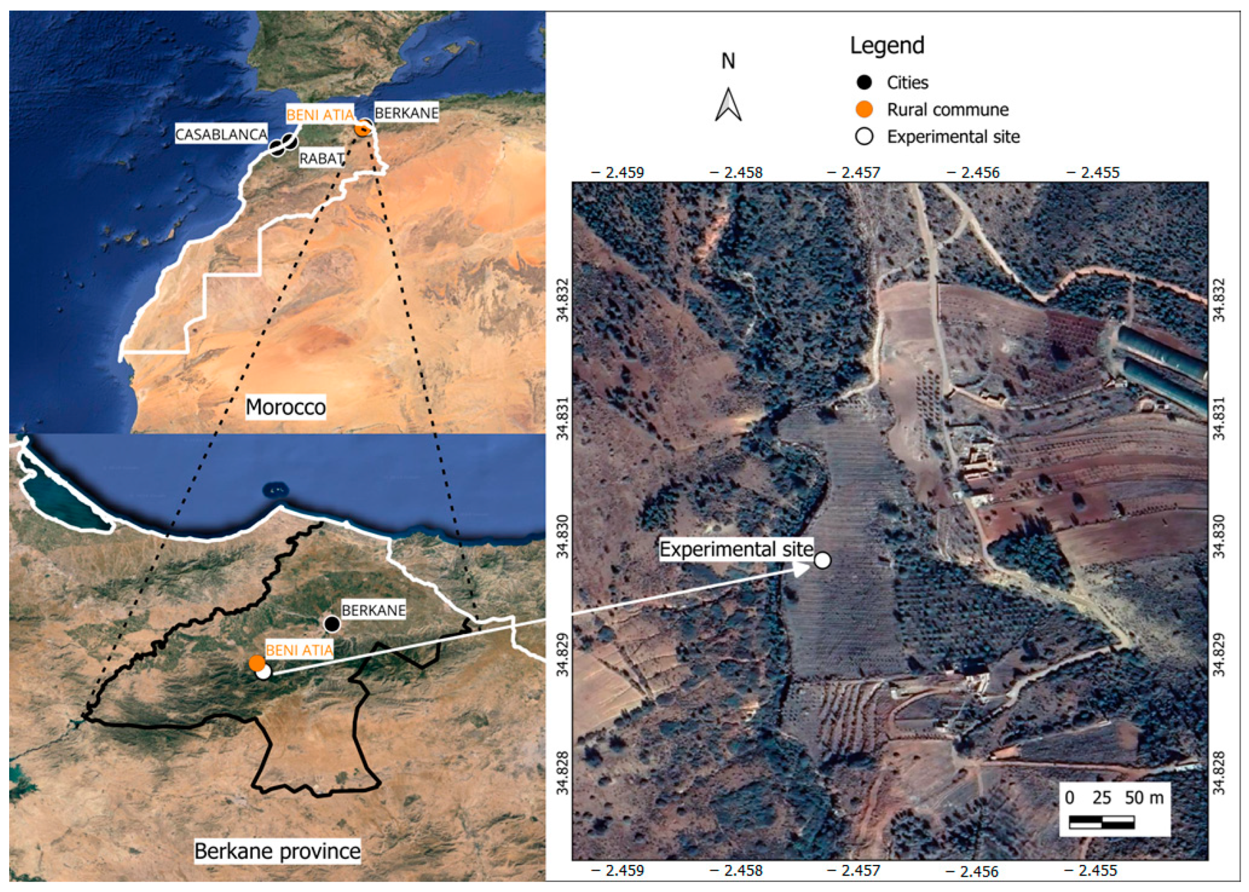 Plants 13 02543 g004