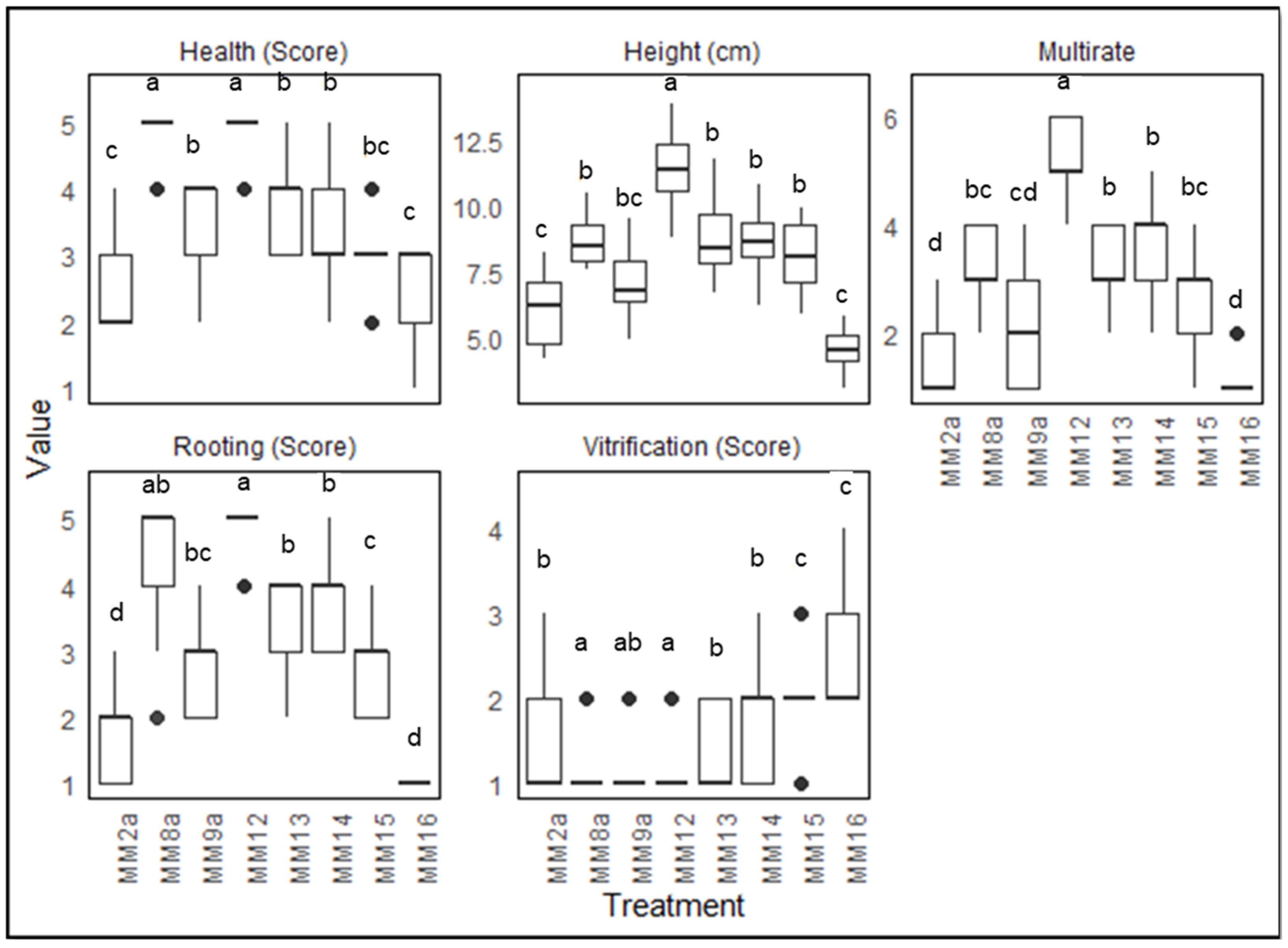 Plants 13 02544 g004