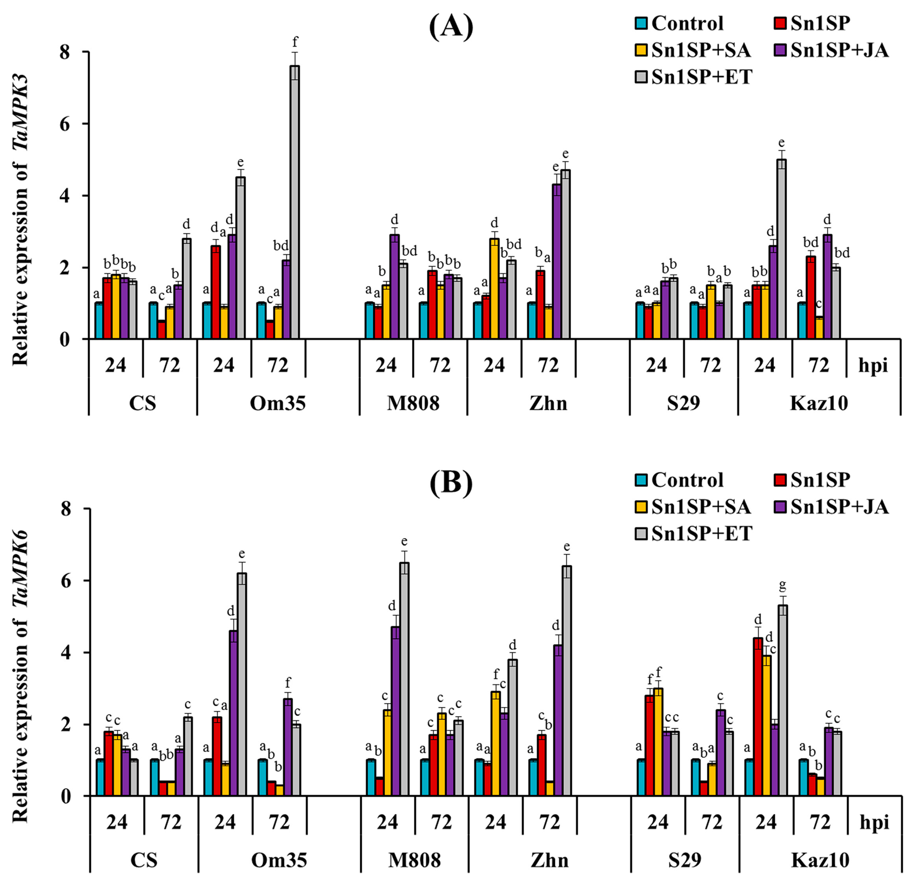 Plants 13 02546 g006