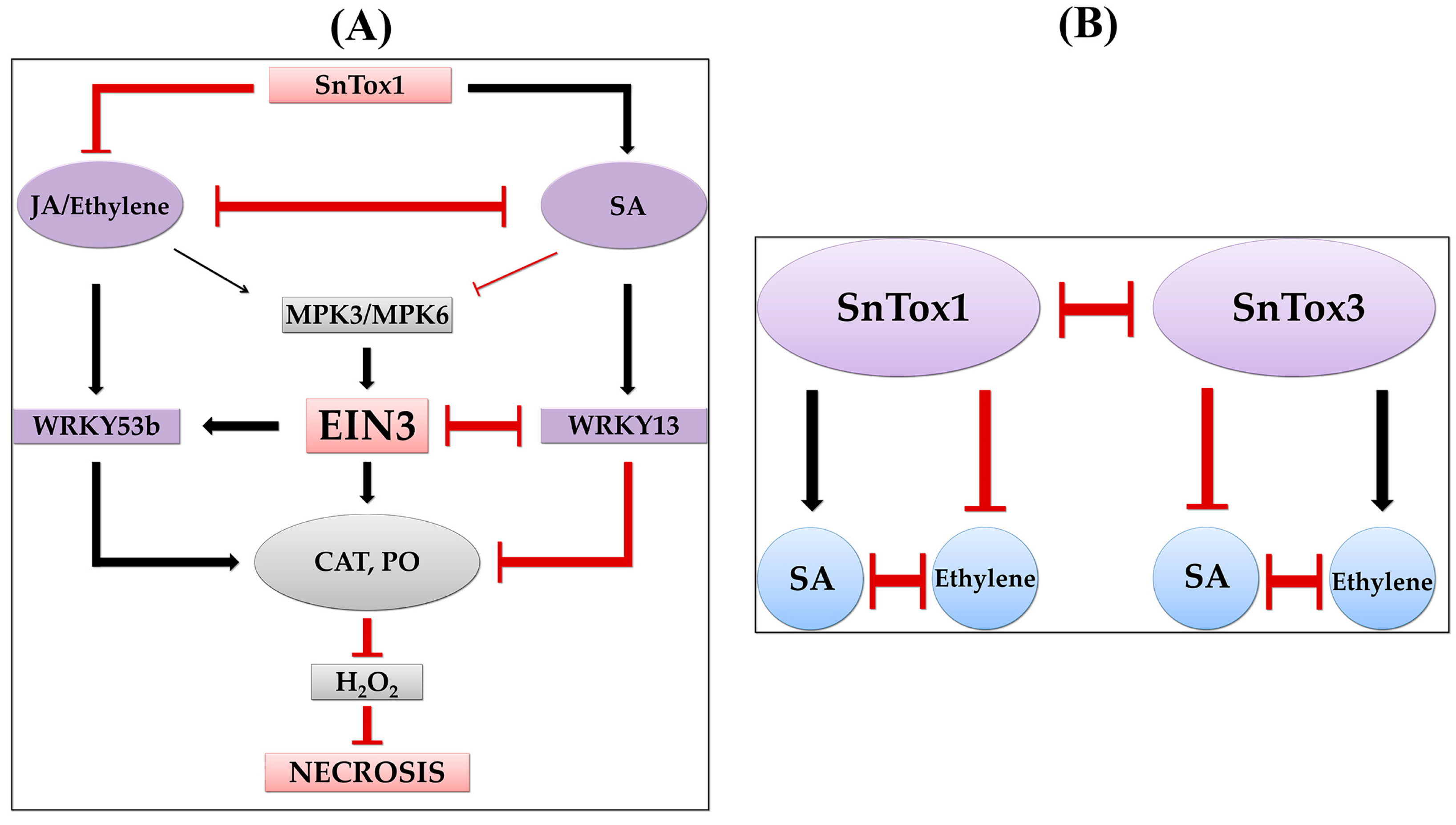 Plants 13 02546 g008