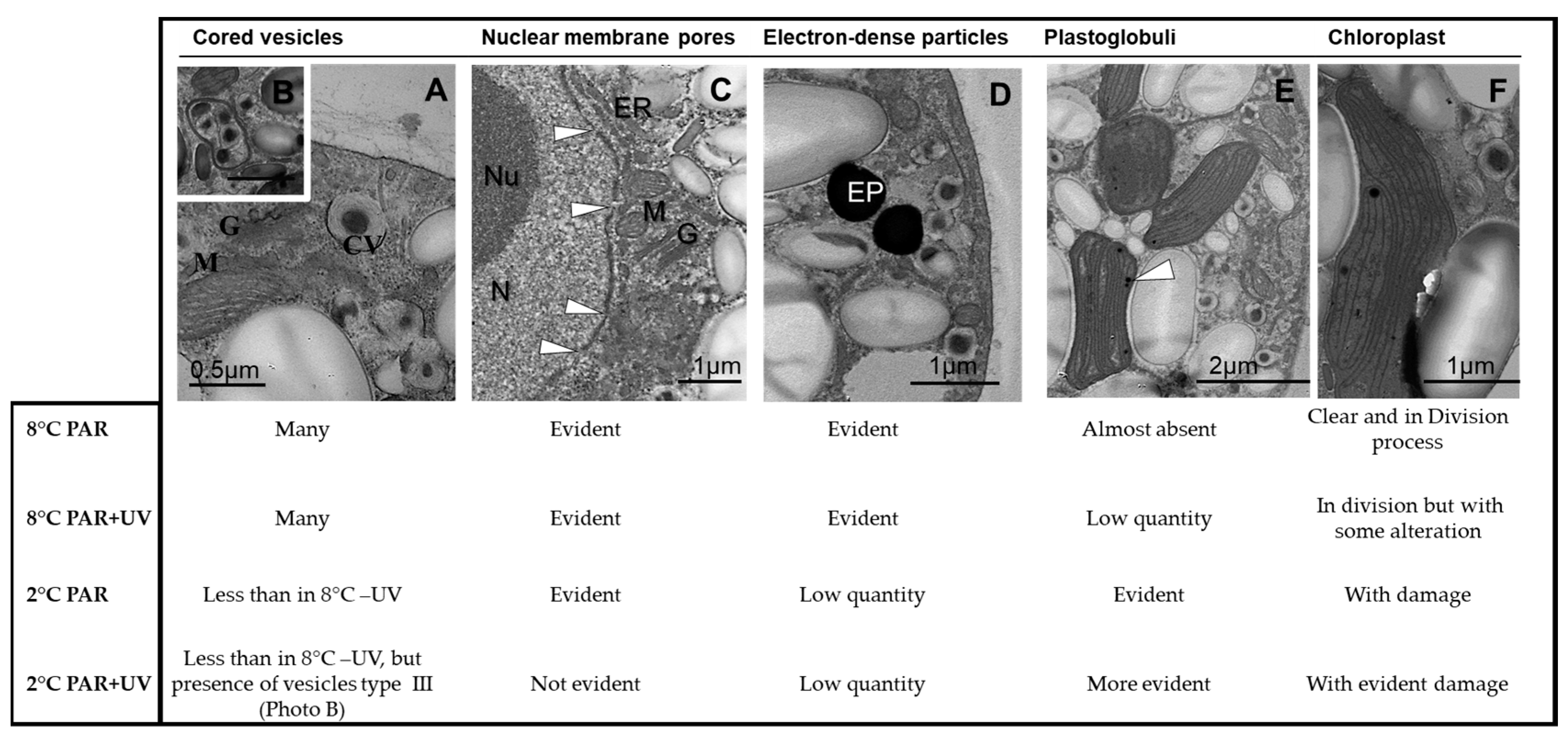 Plants 13 02547 g003