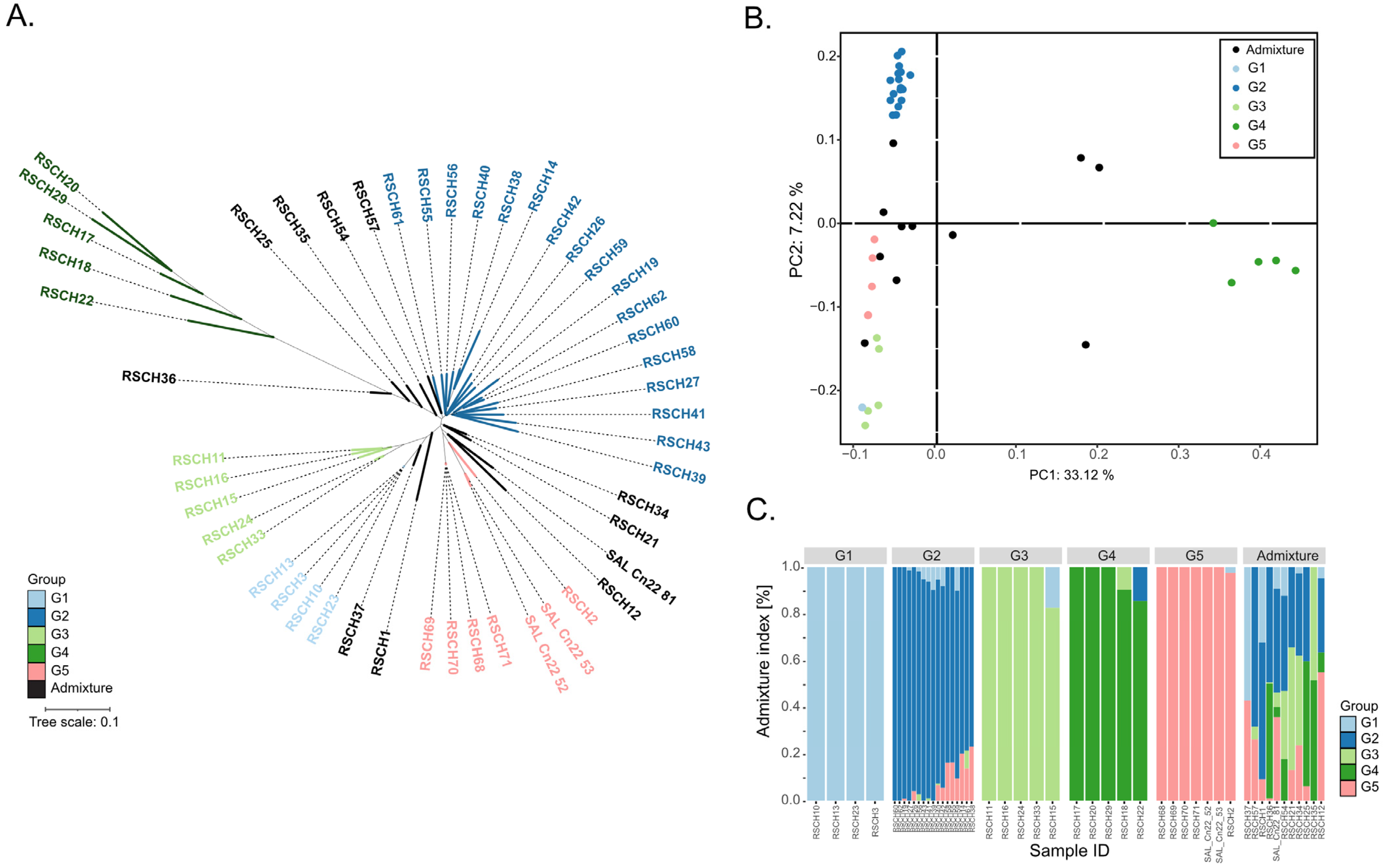 Plants 13 02548 g001