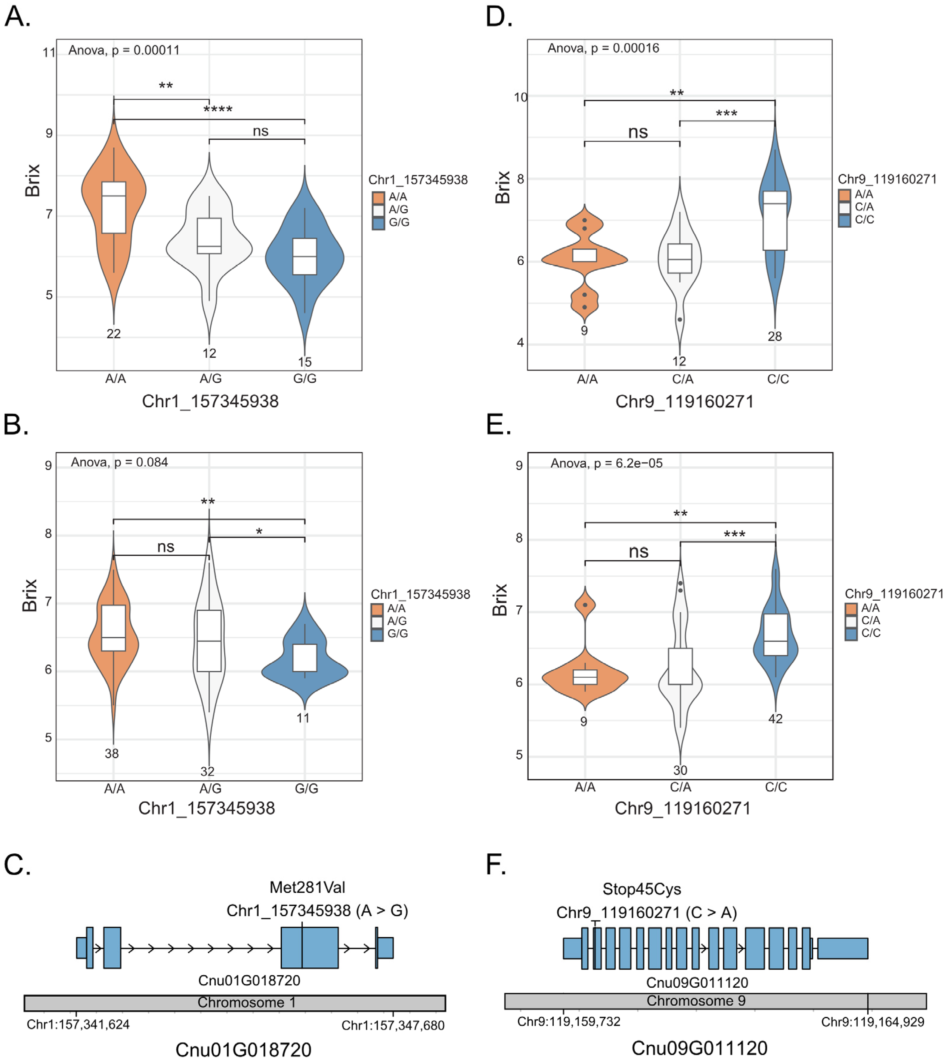 Plants 13 02548 g003