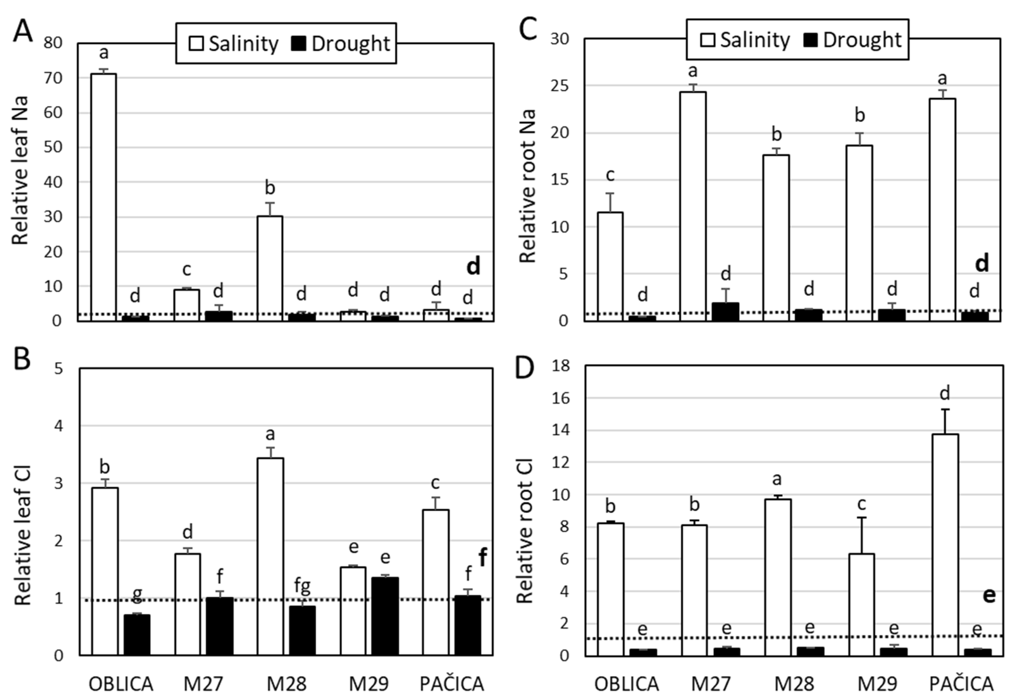 Plants 13 02549 g002