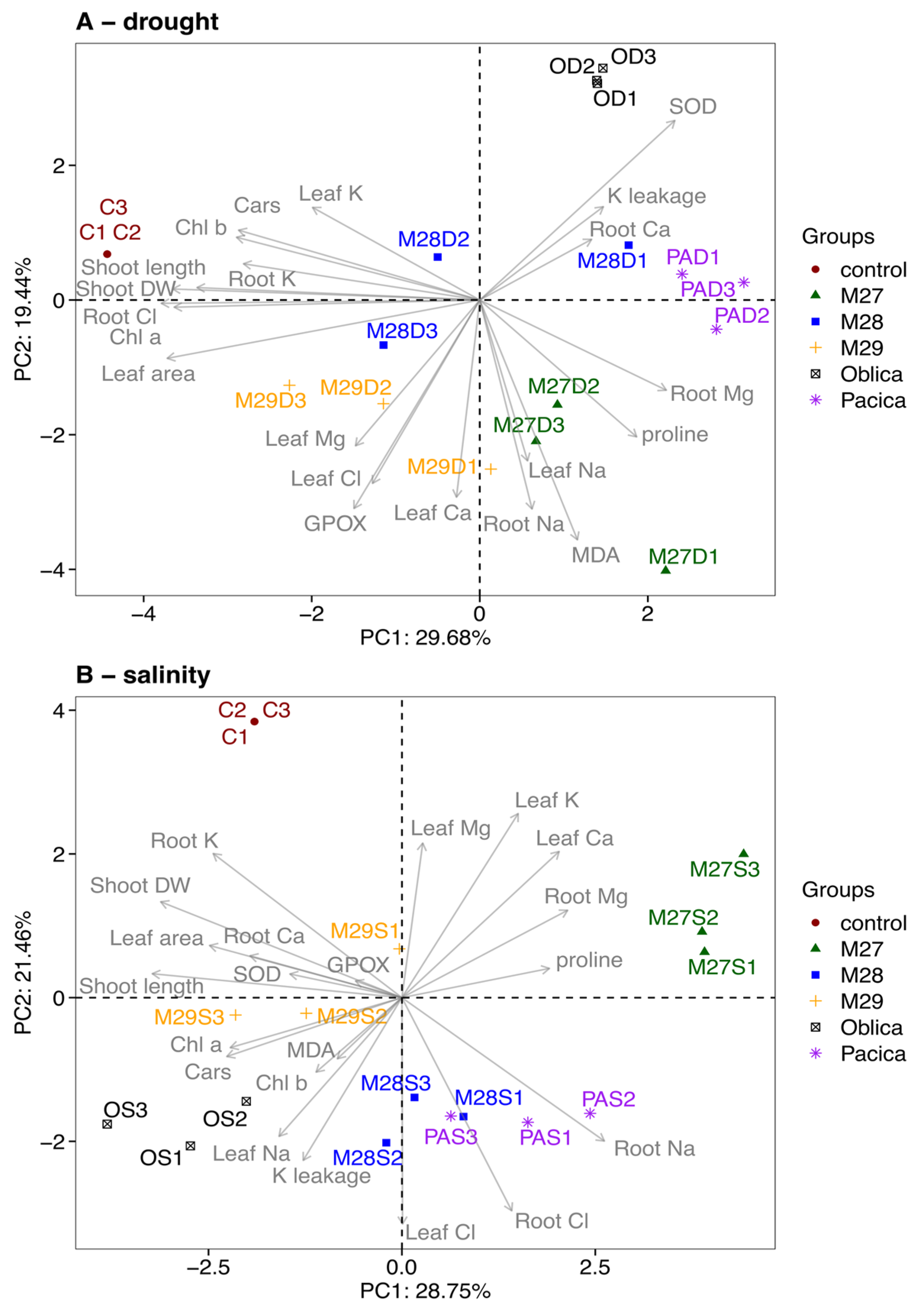 Plants 13 02549 g004