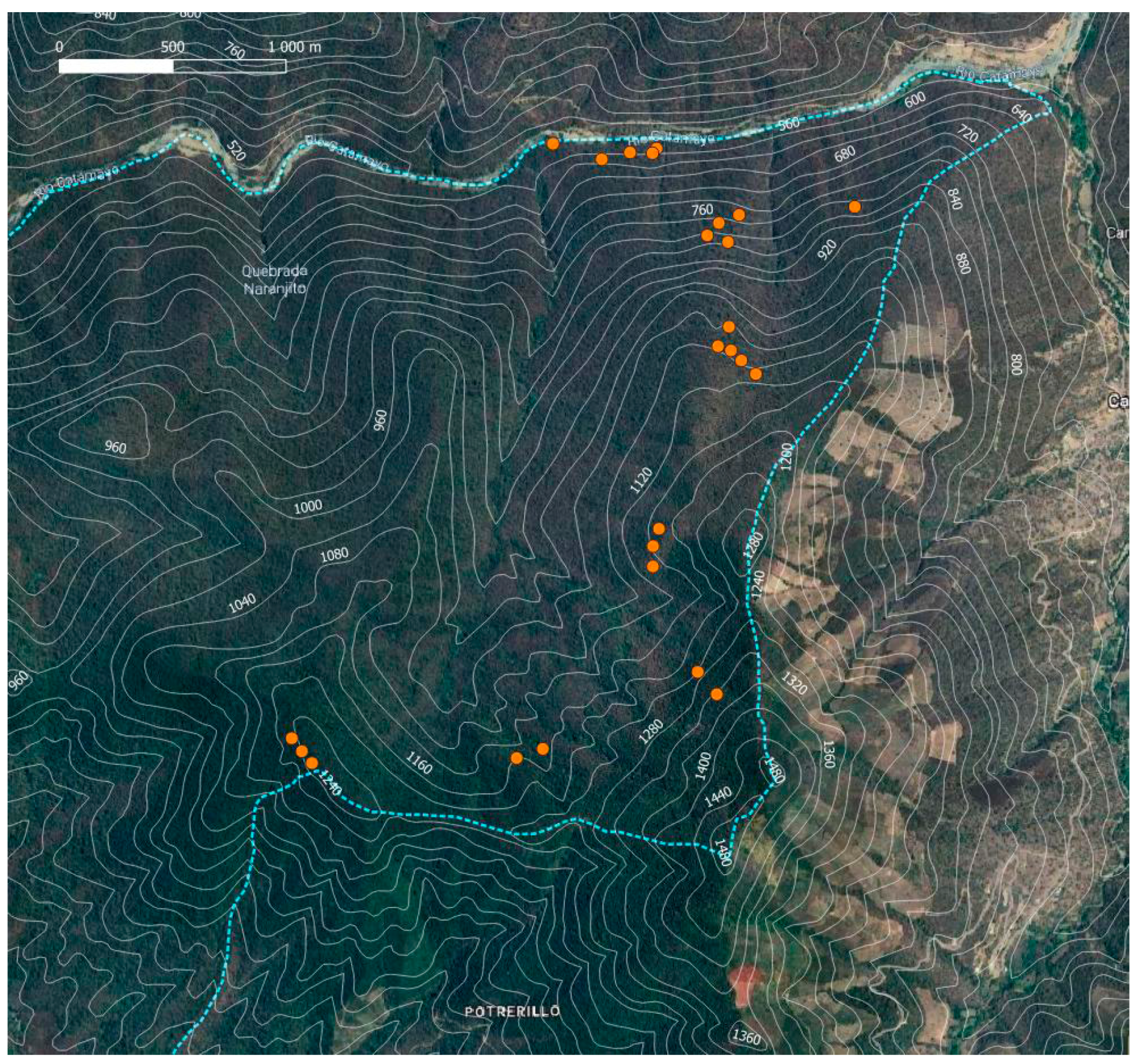Plants 13 02555 g007 Plants 13 02555 g007