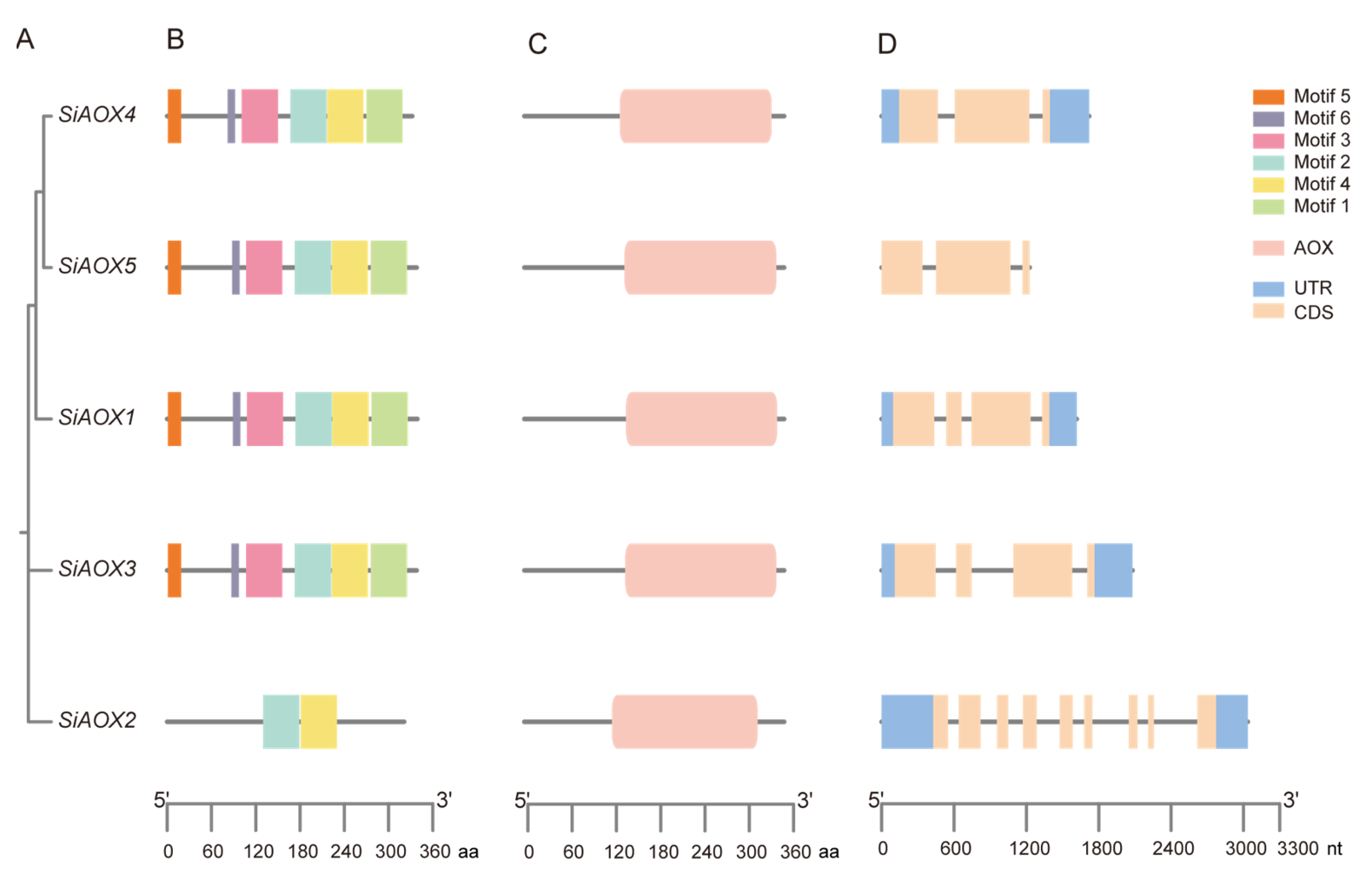 Plants 13 02565 g001