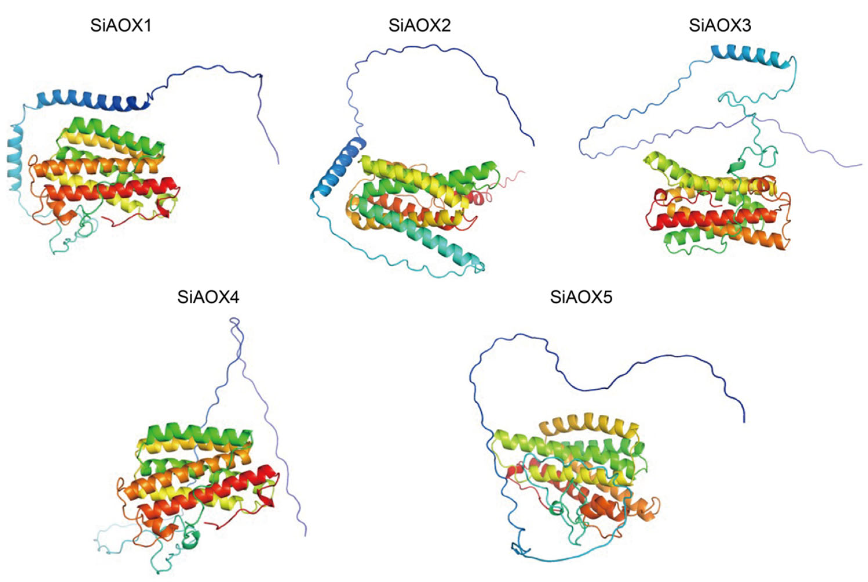 Plants 13 02565 g002