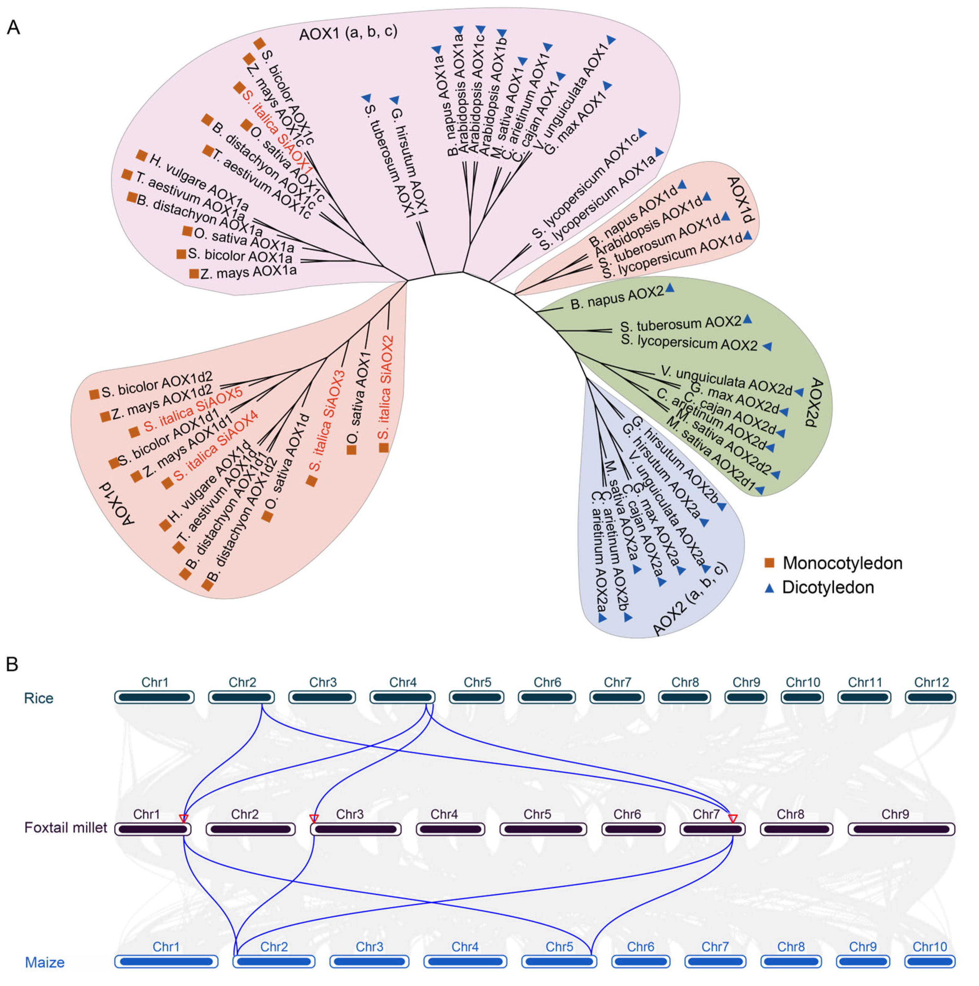 Plants 13 02565 g003